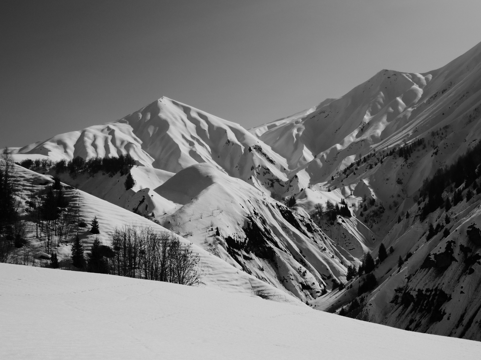 Le but de la visite!