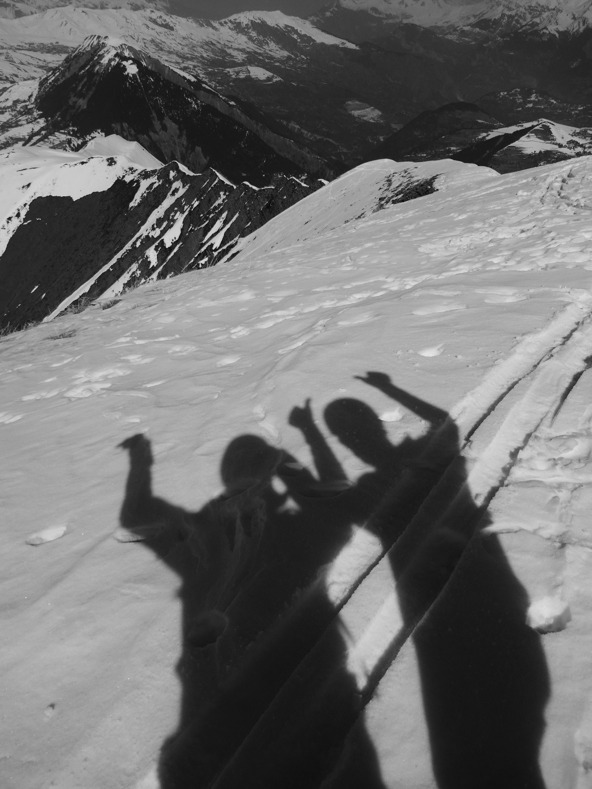 Zinzins d'Arves!😝