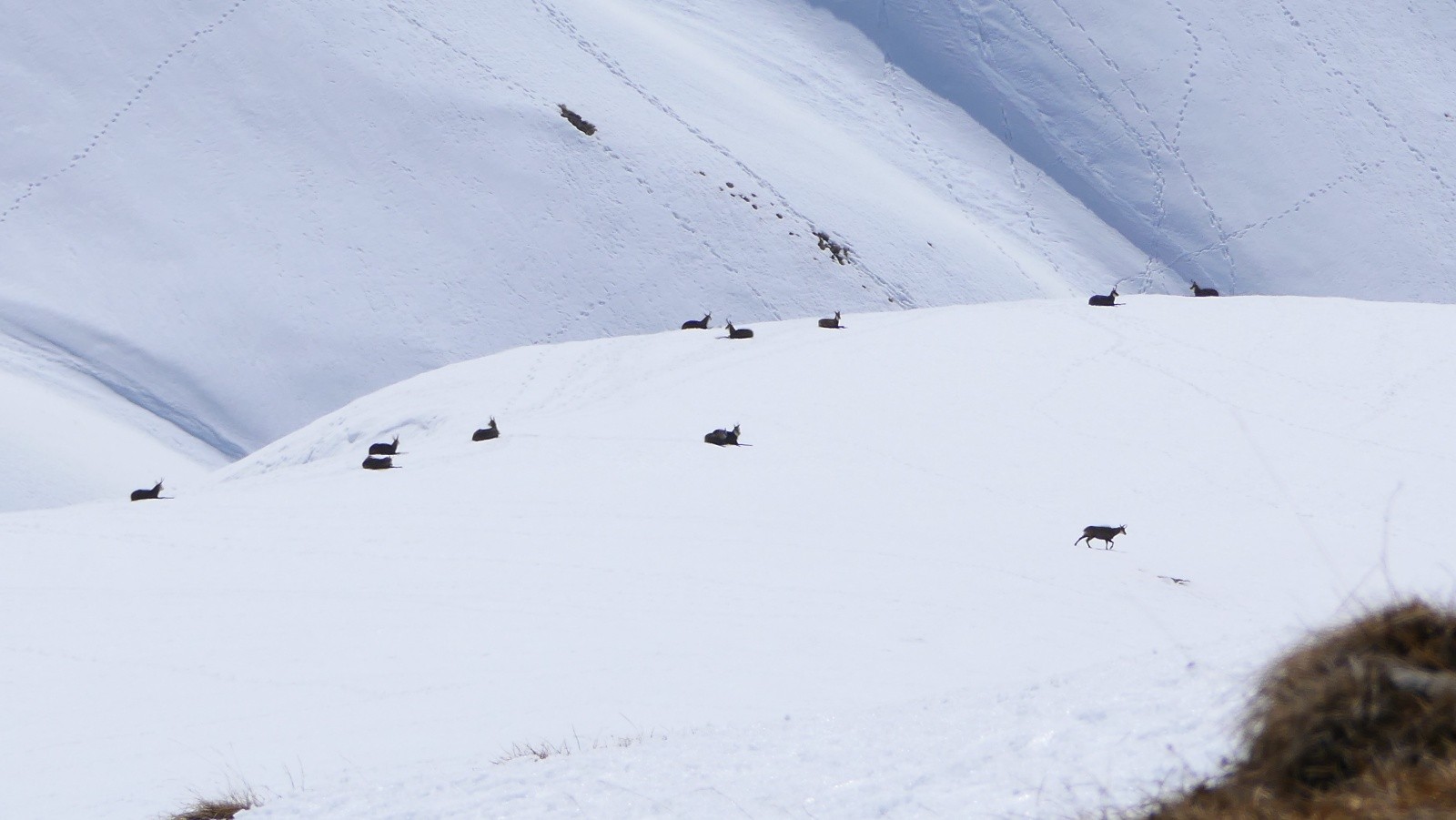 &nbsp;Ils se dorent la pillule!