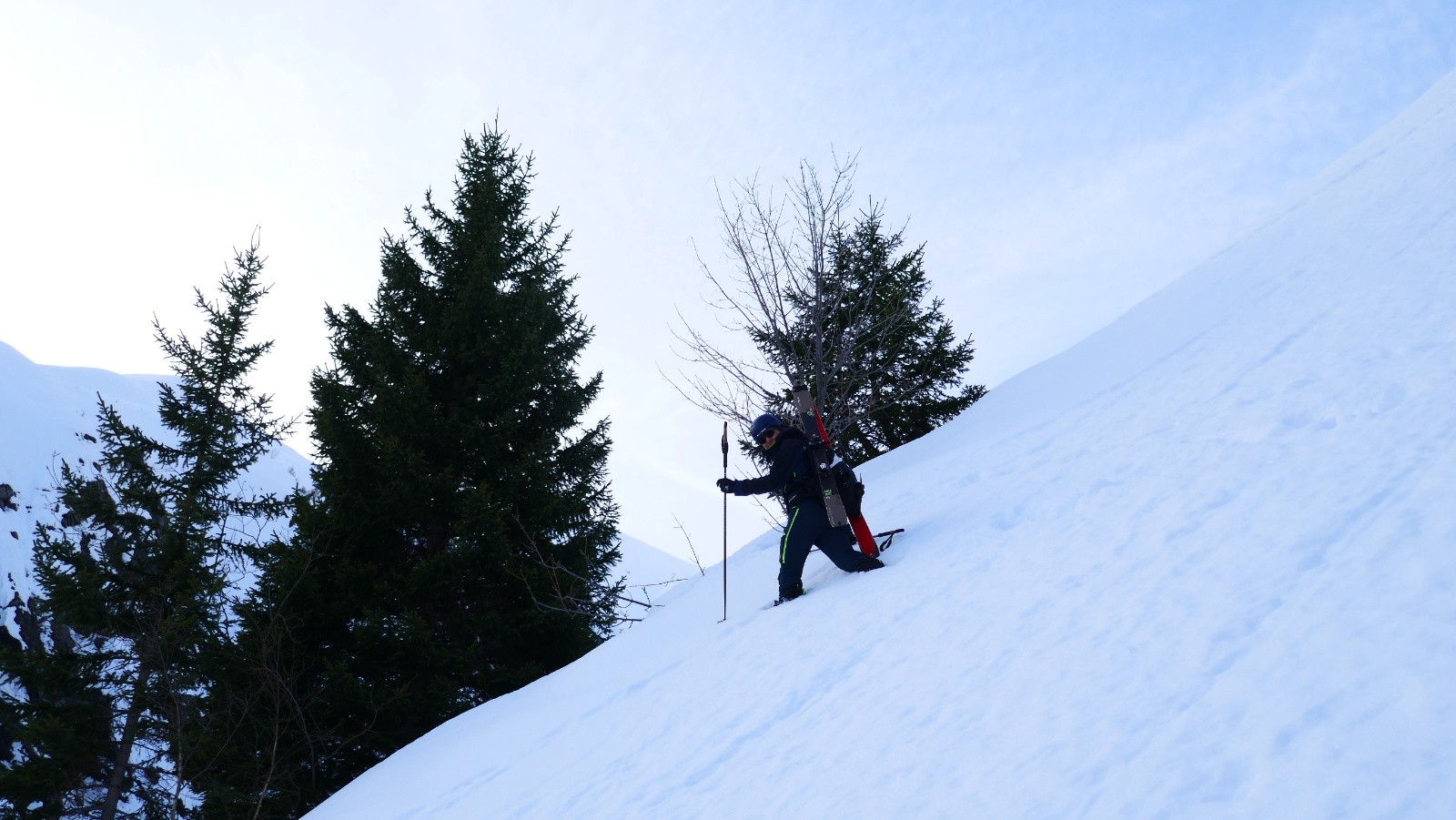 Manteau pourri en profondeur...