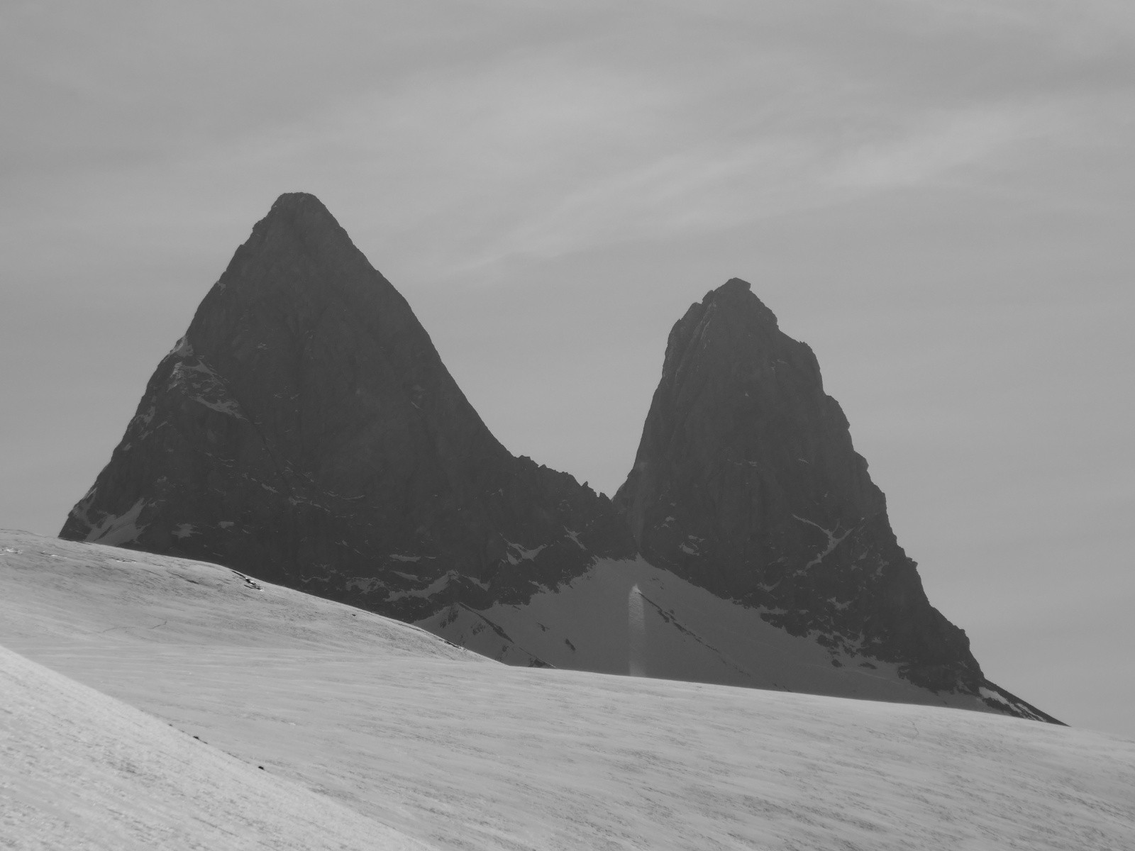 Mais oú est la tête de chat?