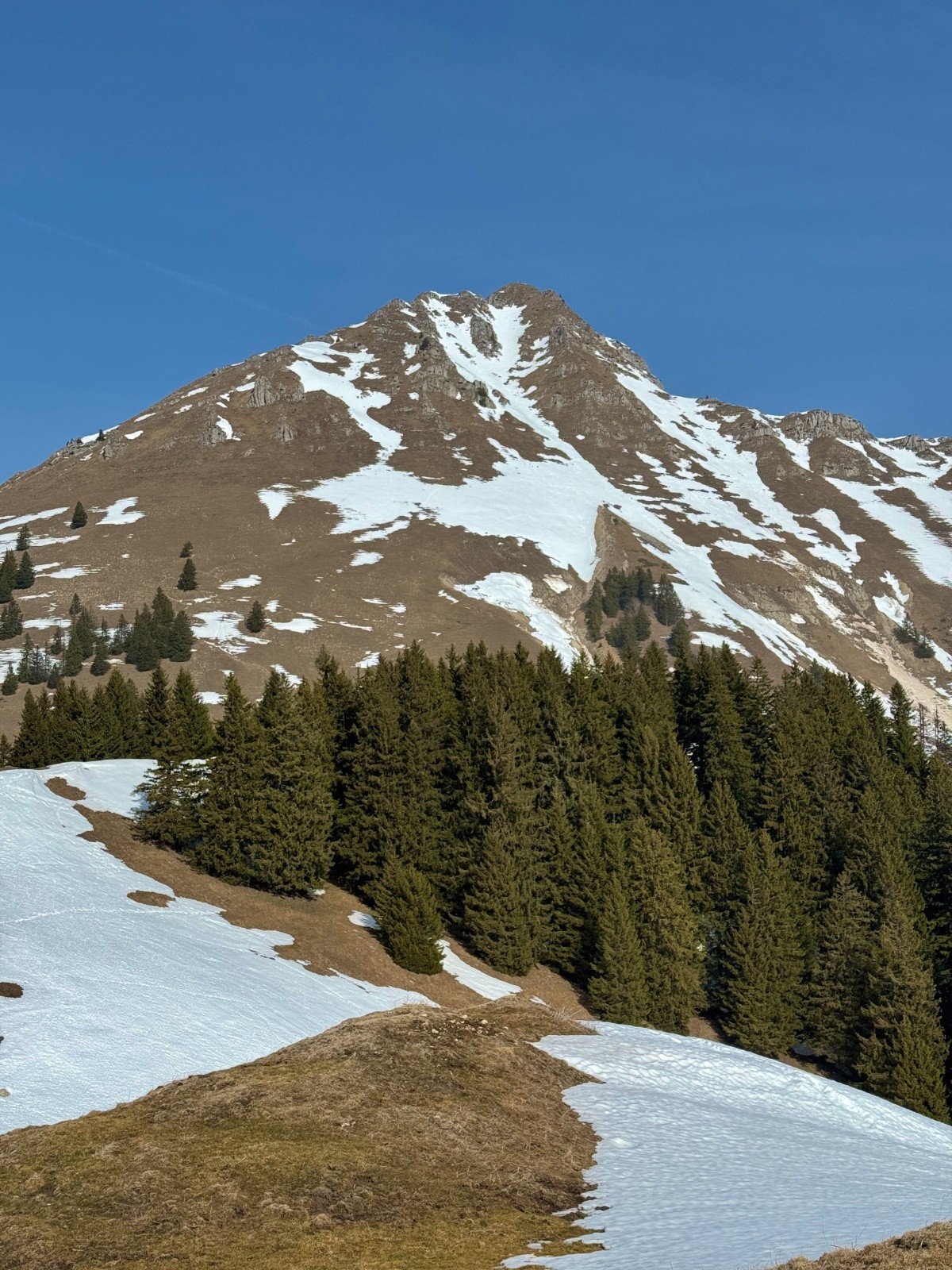 Teysachau(d) : bien secos