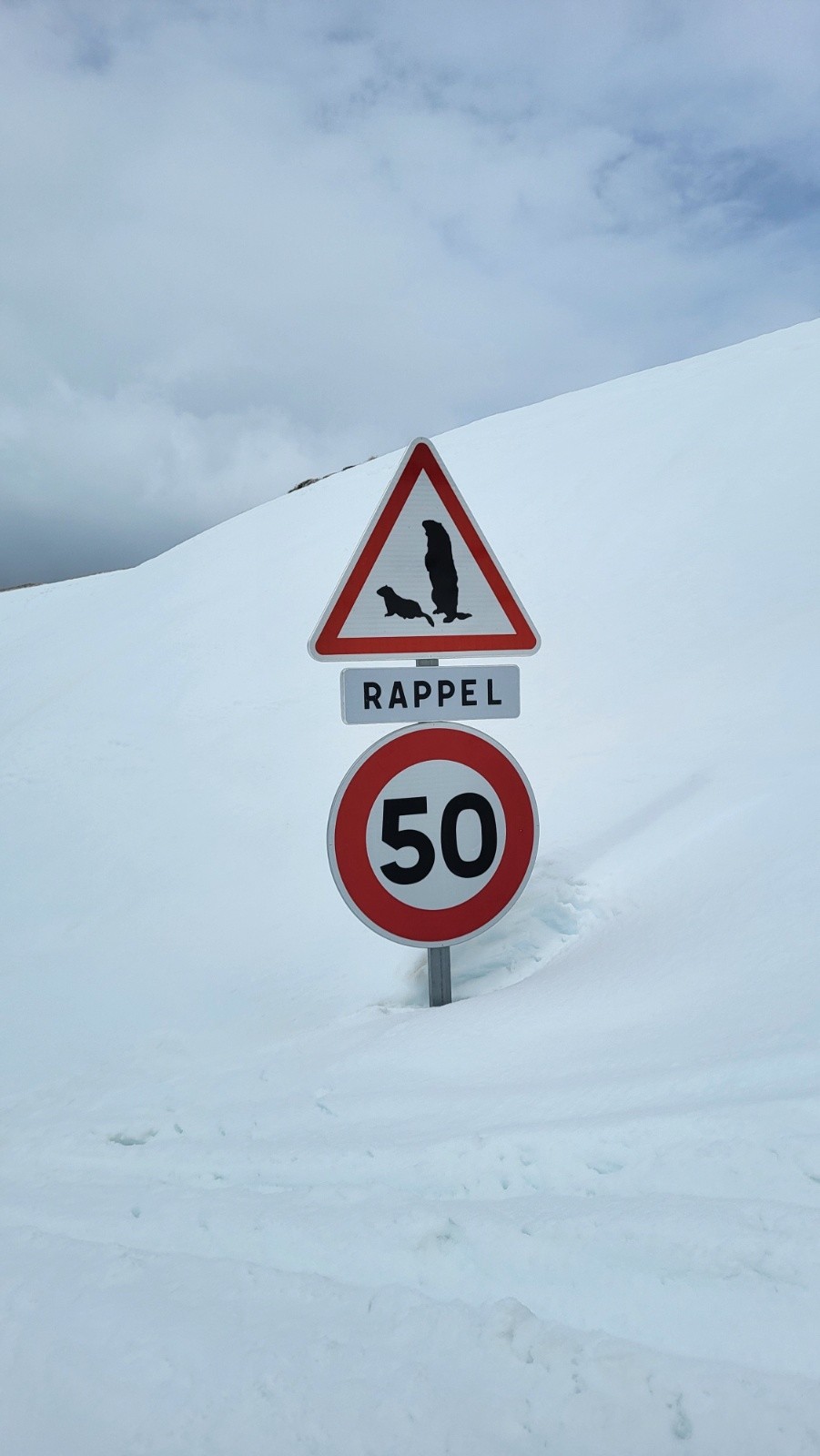 J6 - Marmottes crossing !&nbsp;