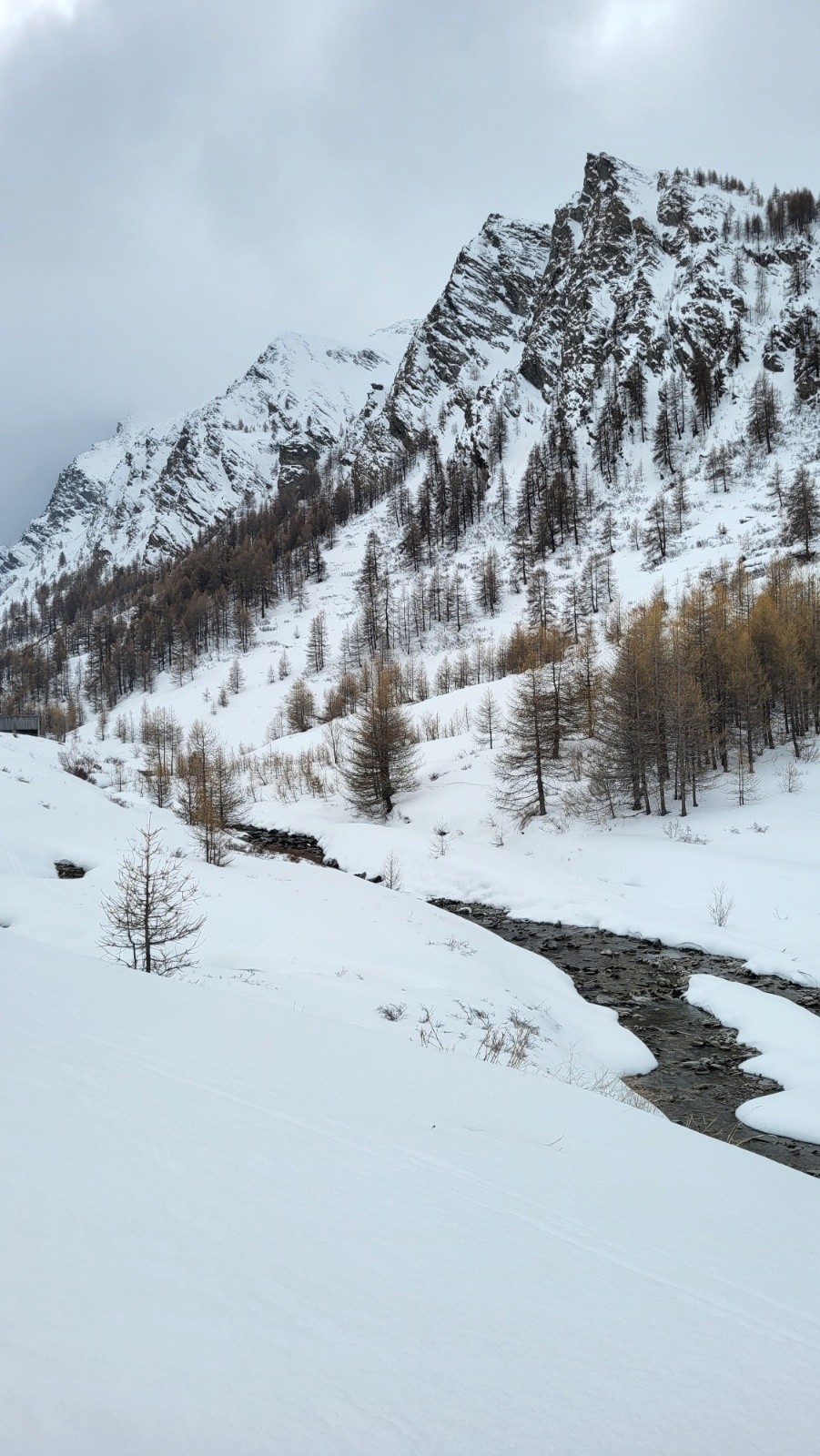 &nbsp;J6 - Pointe dans la brume