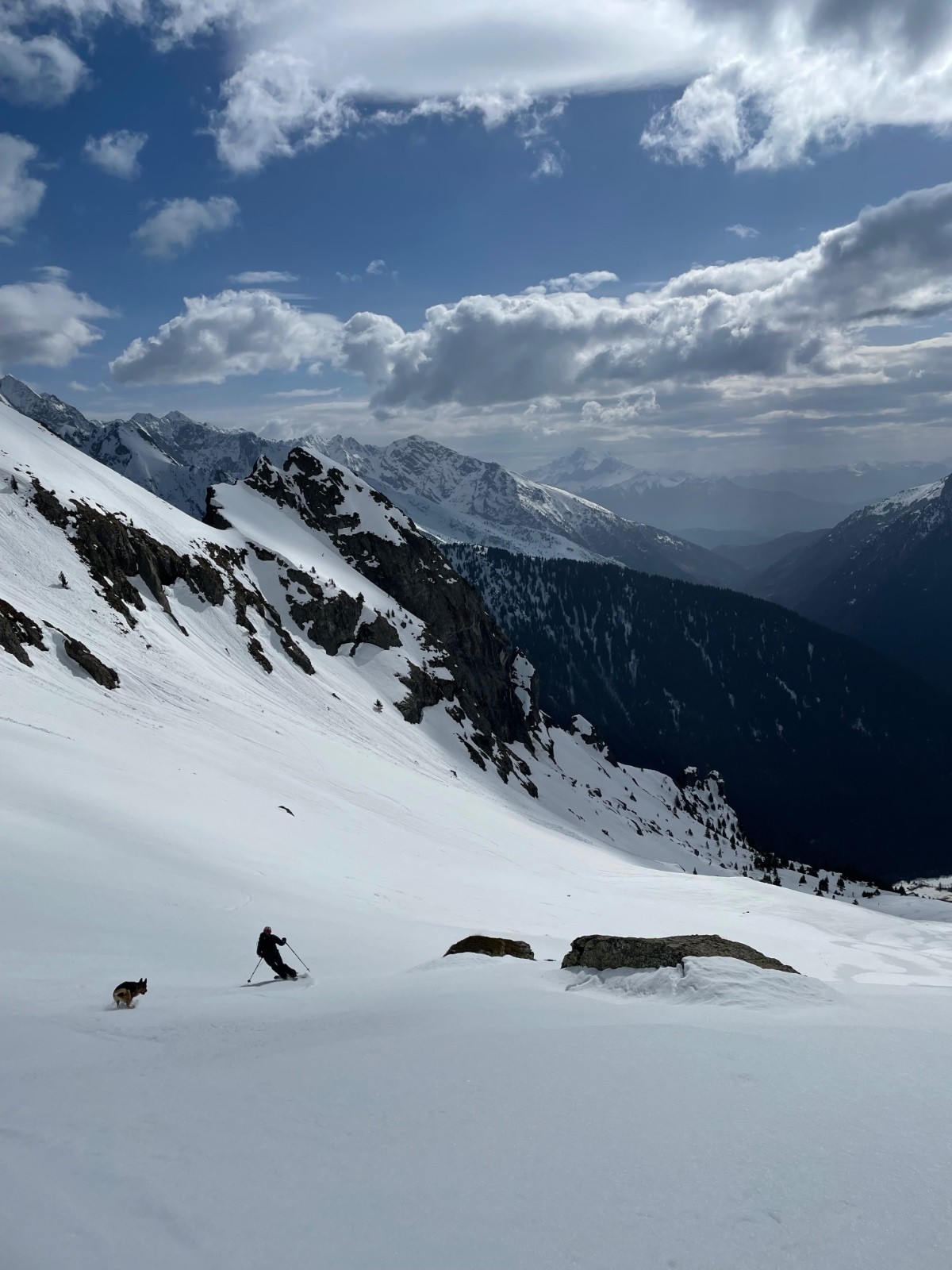&nbsp;Régal de moquette