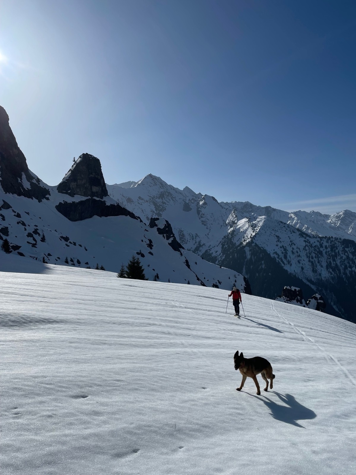 &nbsp;Toutou sans crampons ni couteaux mais avec griffes