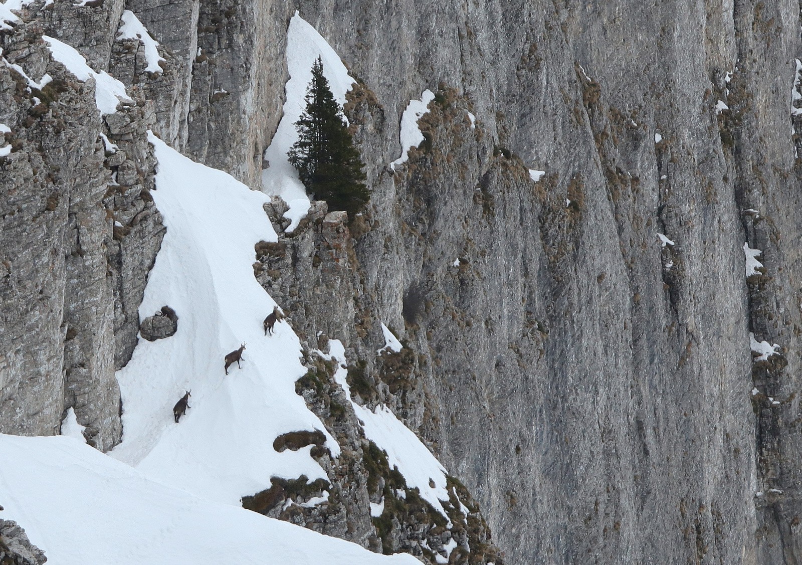 Les artistes...&nbsp;