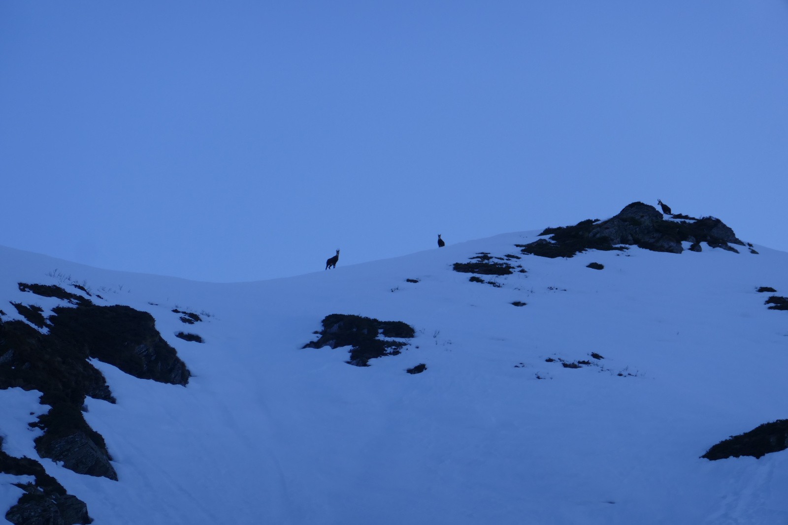 #4 Nous sommes surveillés Nous sommes surveillés