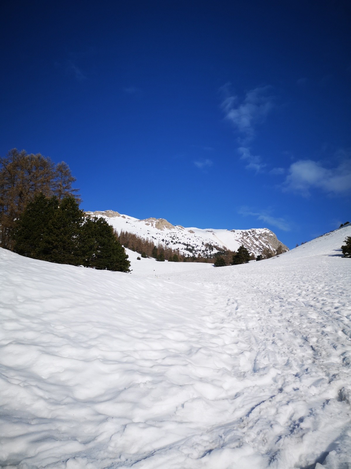 &nbsp;Dimanche c'est Bizanche😜