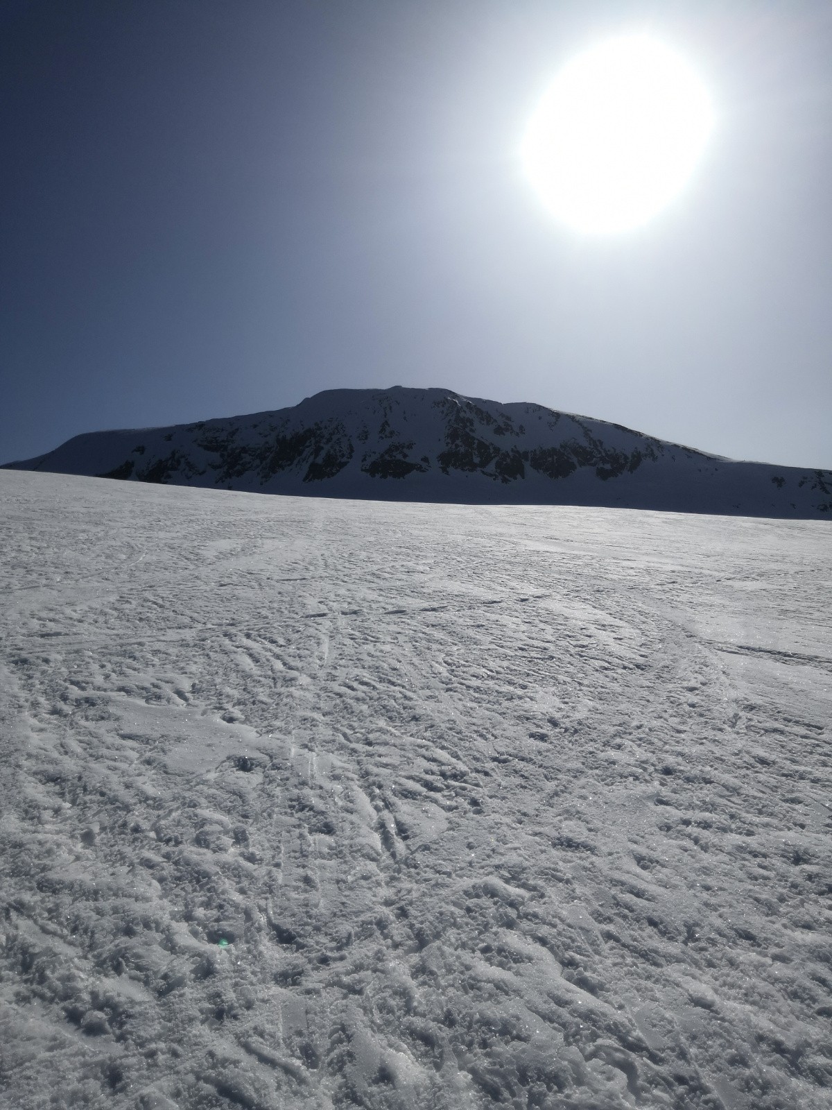 #3 pinelli en ligne de mire pinelli en ligne de mire