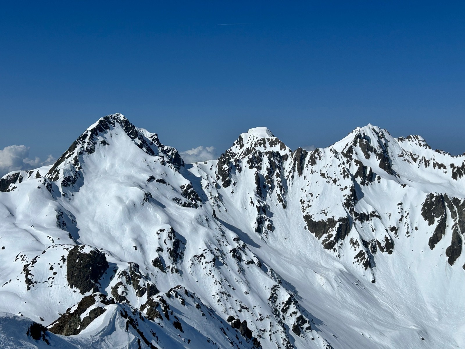 &nbsp;Le bec à gauche&nbsp;