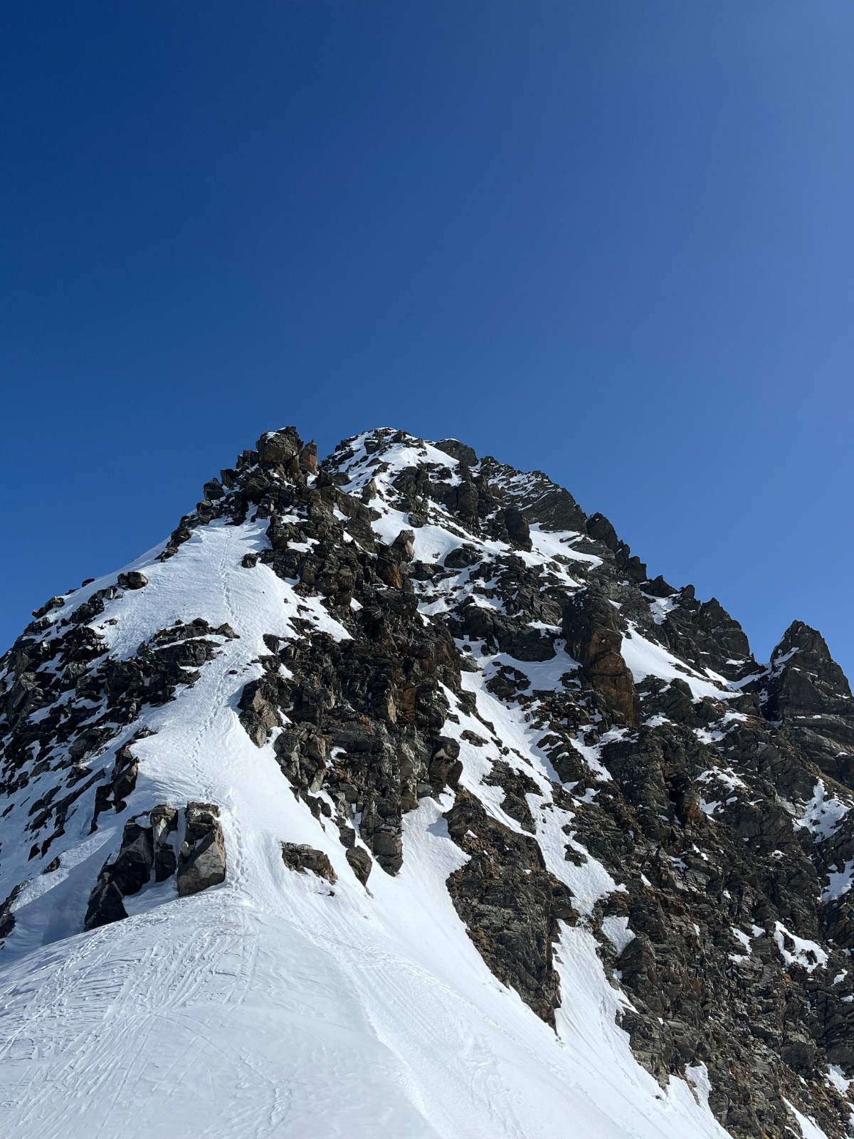 &nbsp;J2: Homme ou animal ayant grimpé jusqu'en haut ?