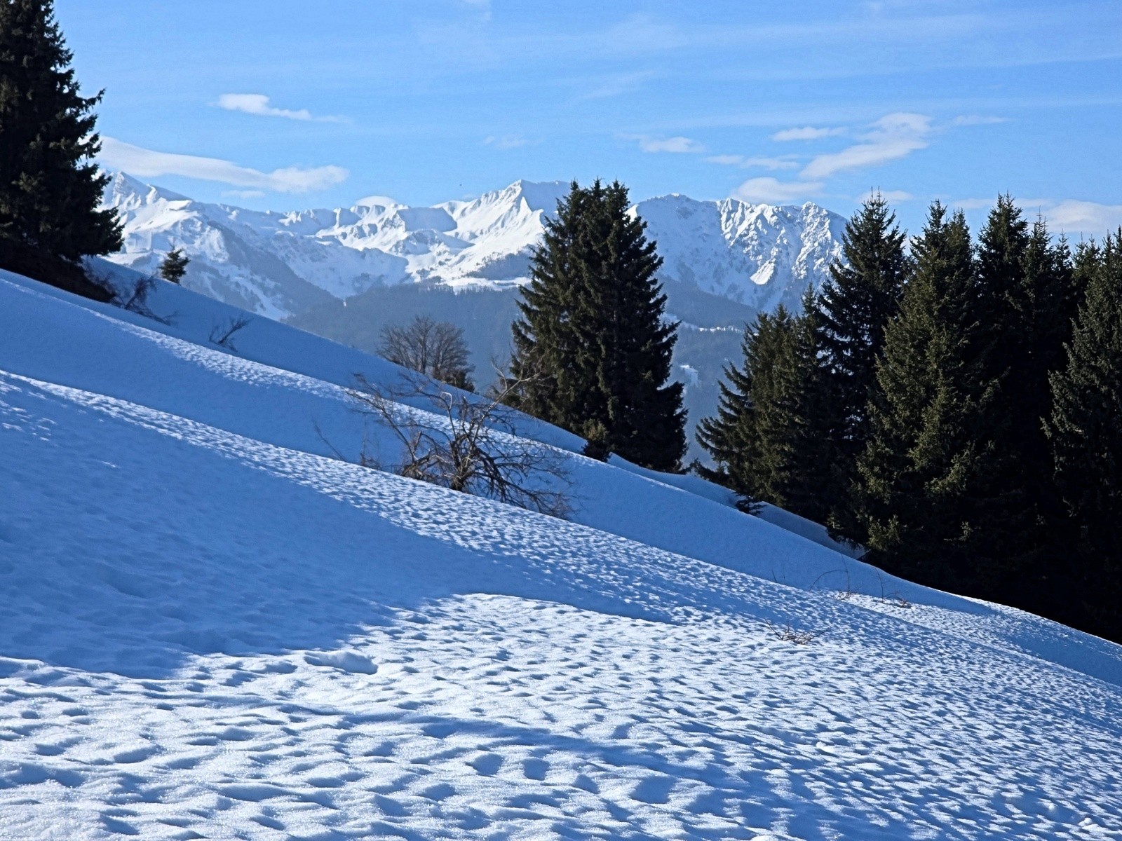 Nous montons, désormais au soleil, les alpages beaucoup moins trafolés que nous ne le craignions.&nbsp;