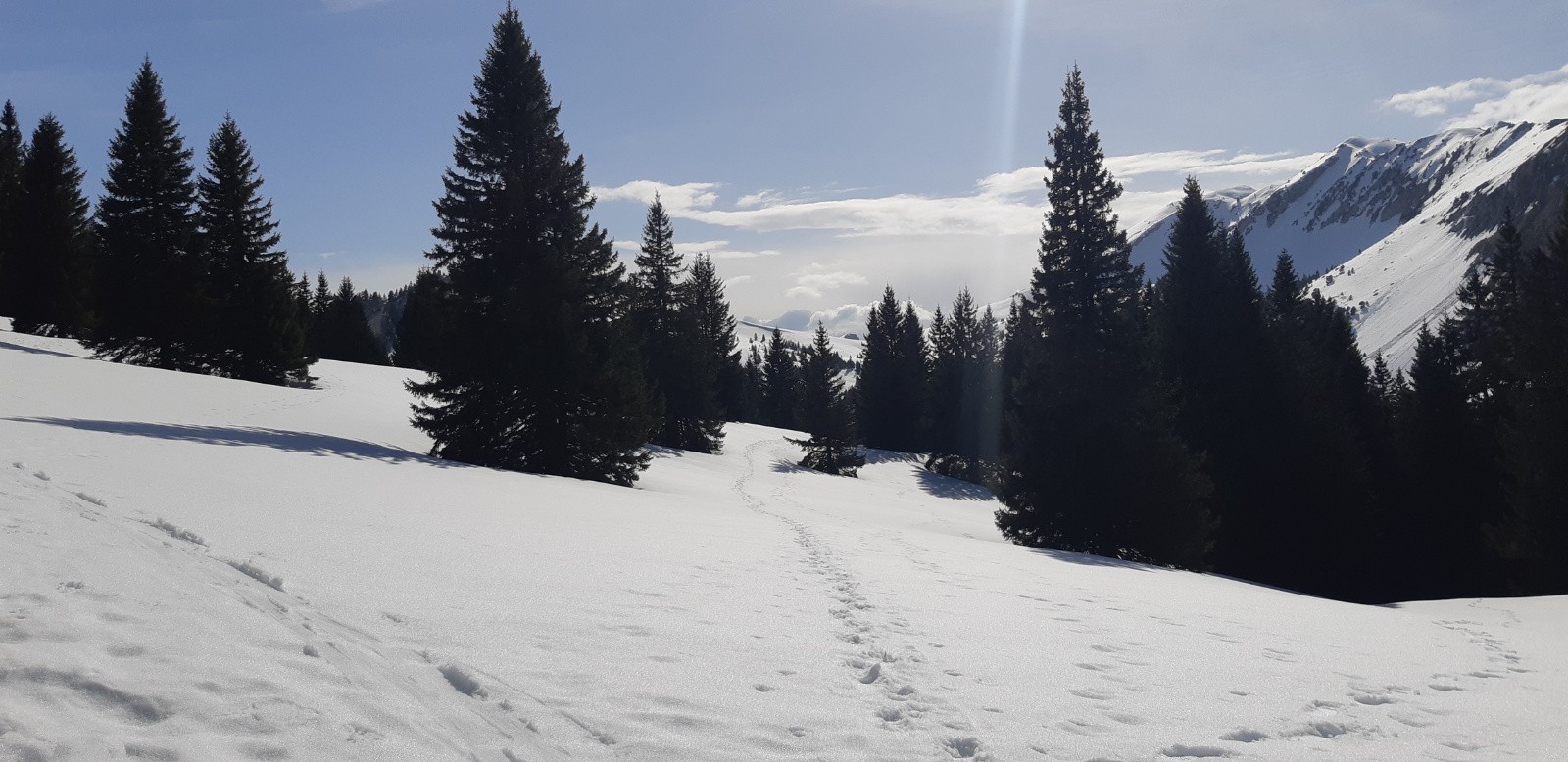 paisible clairière des Charmilles, avant la redescente 
