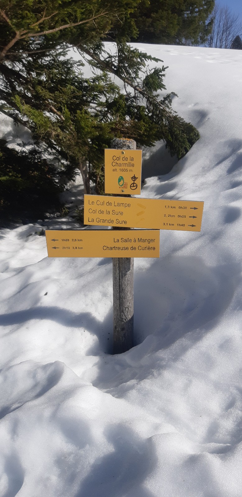 Nivose Charmille ( à comparer avec les années précédentes )