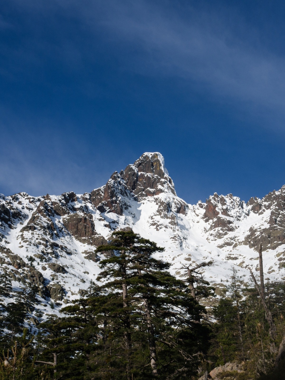 Portage dans les pins Laricios et Paglia Orba