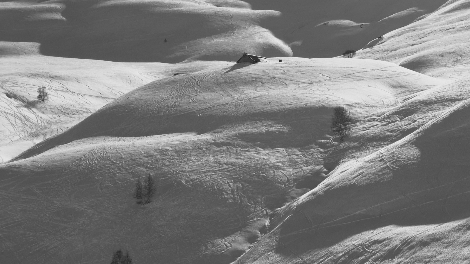 &nbsp;Sur sa bosse perché&nbsp;
