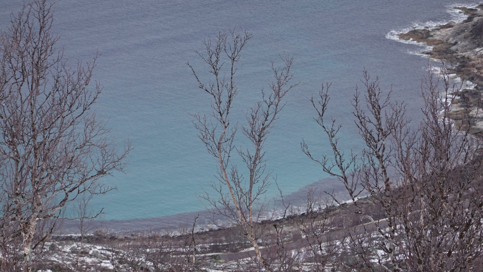 Les eaux turquoises du fjord