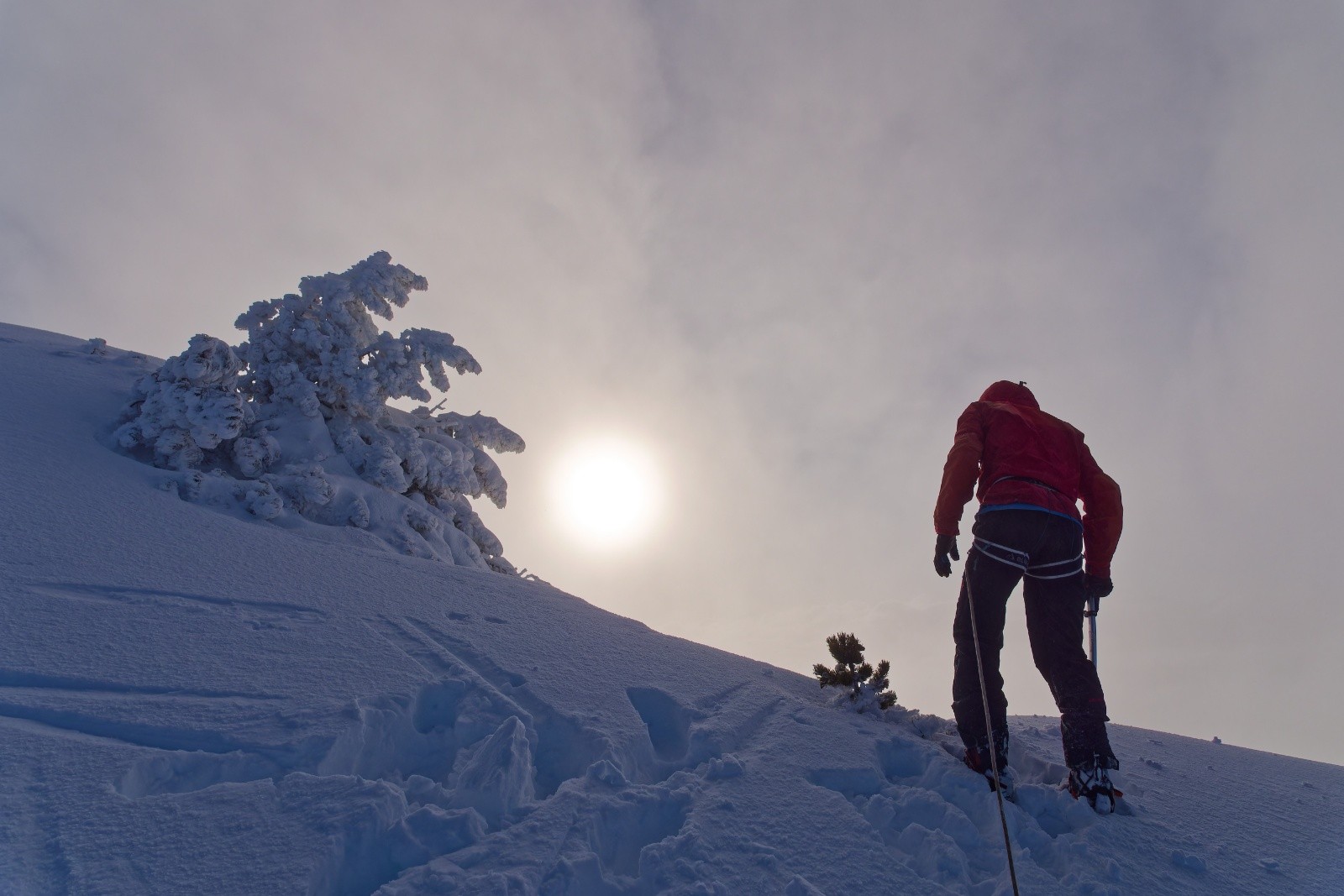 Mais elle est où cette vire ?