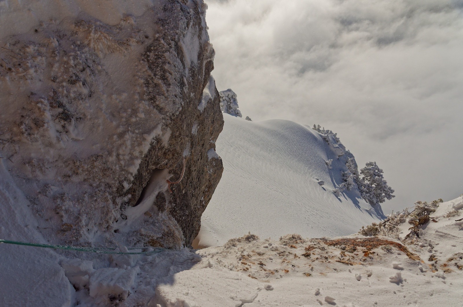 Une corde contente de retrouver son maître