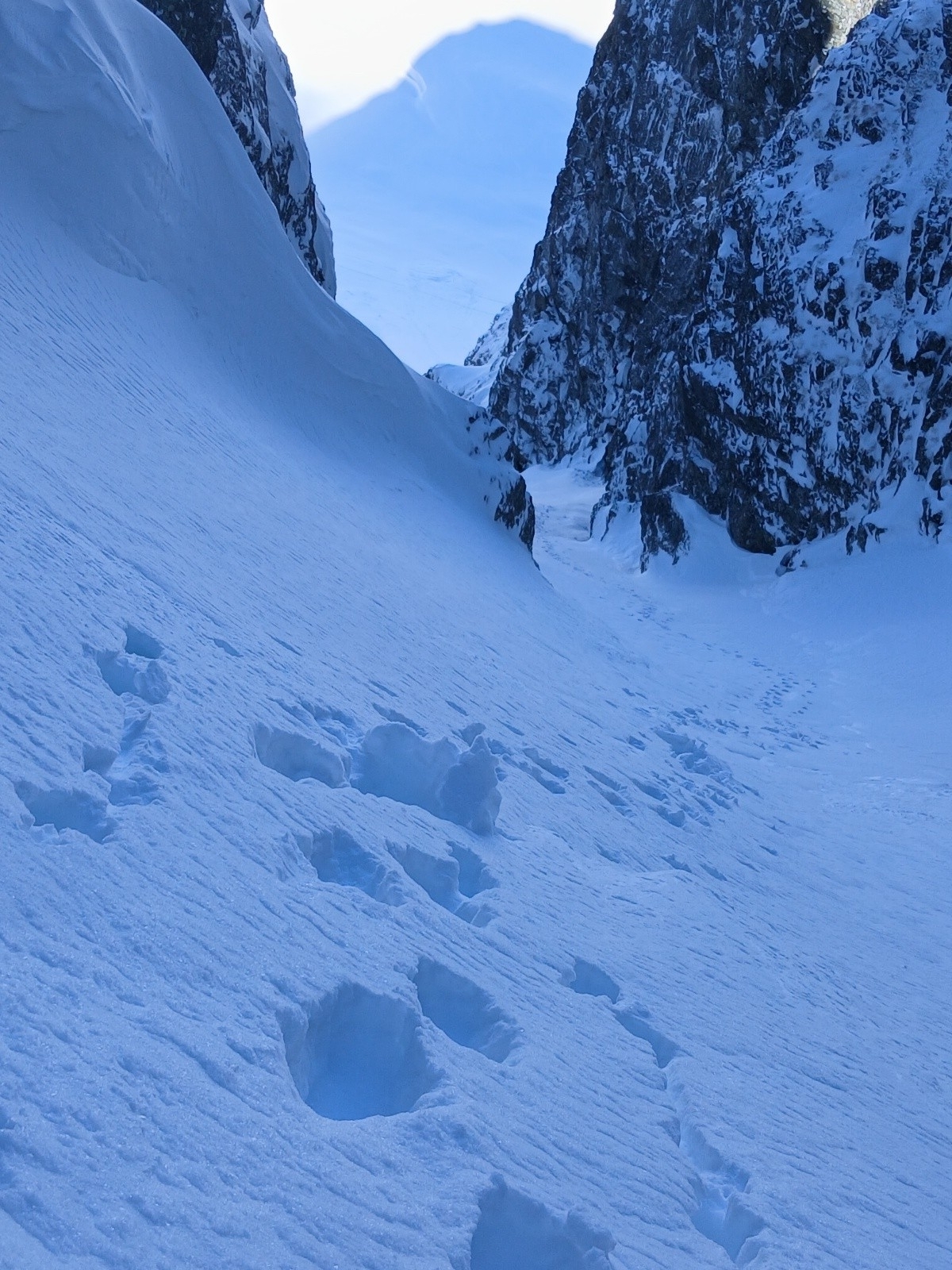 Plaisir de la trace 3