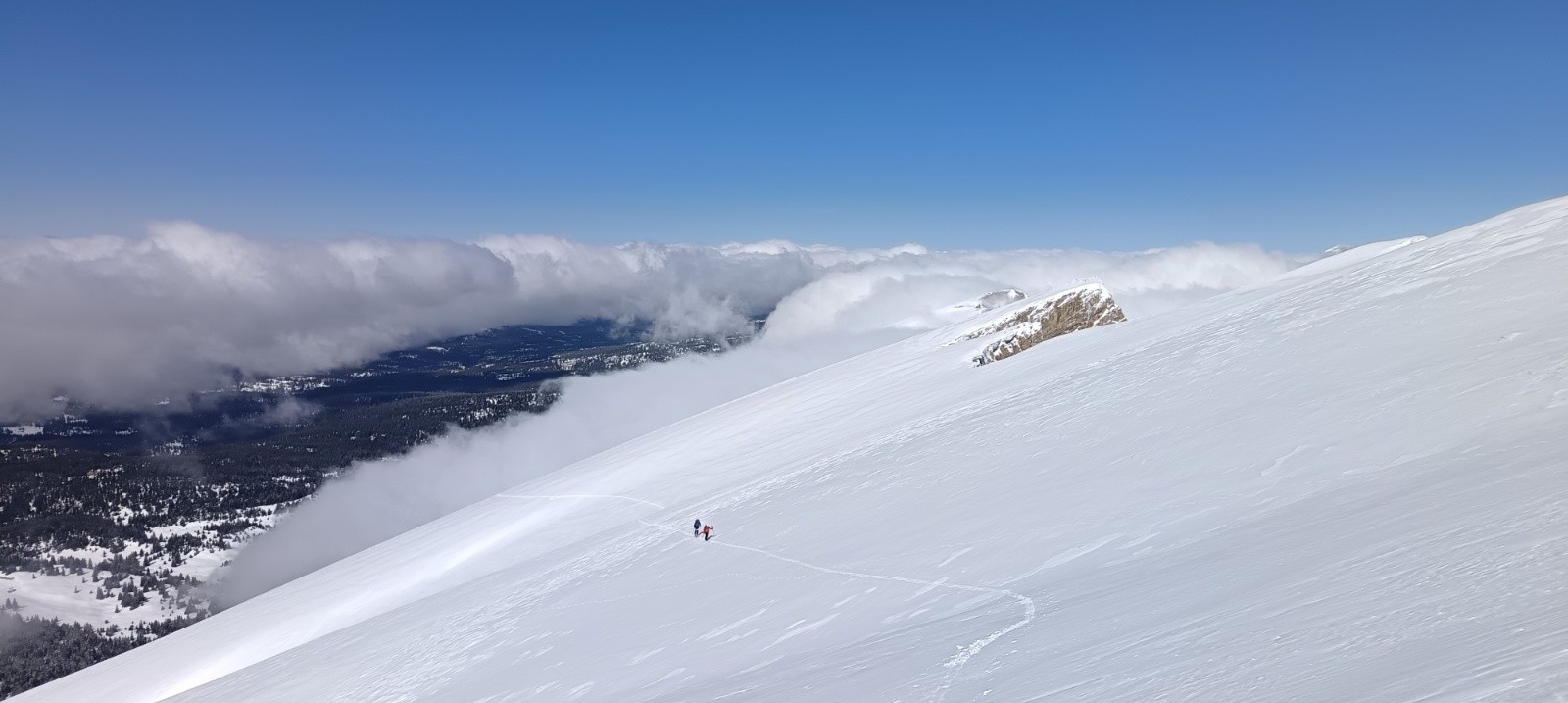 &nbsp;Looongie pente W