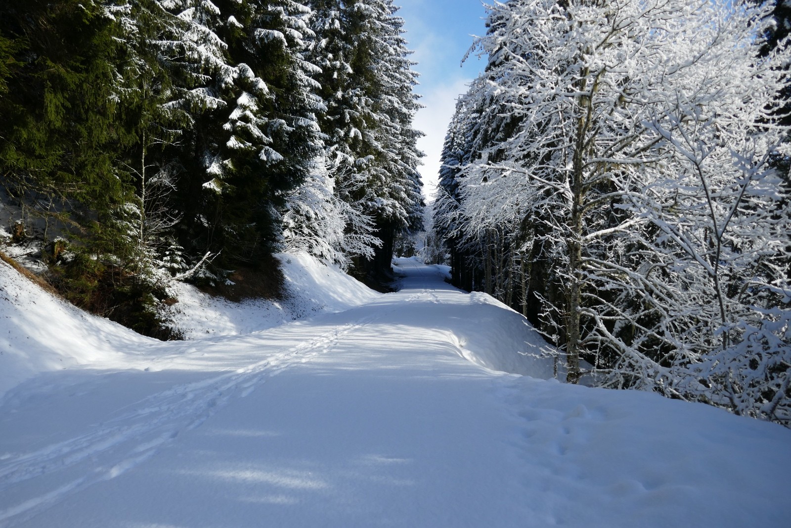 &nbsp;Deux traces et des odeurs de gaz d'échappement m'accueillent sur la route fermée du col de l'Encrenaz.
