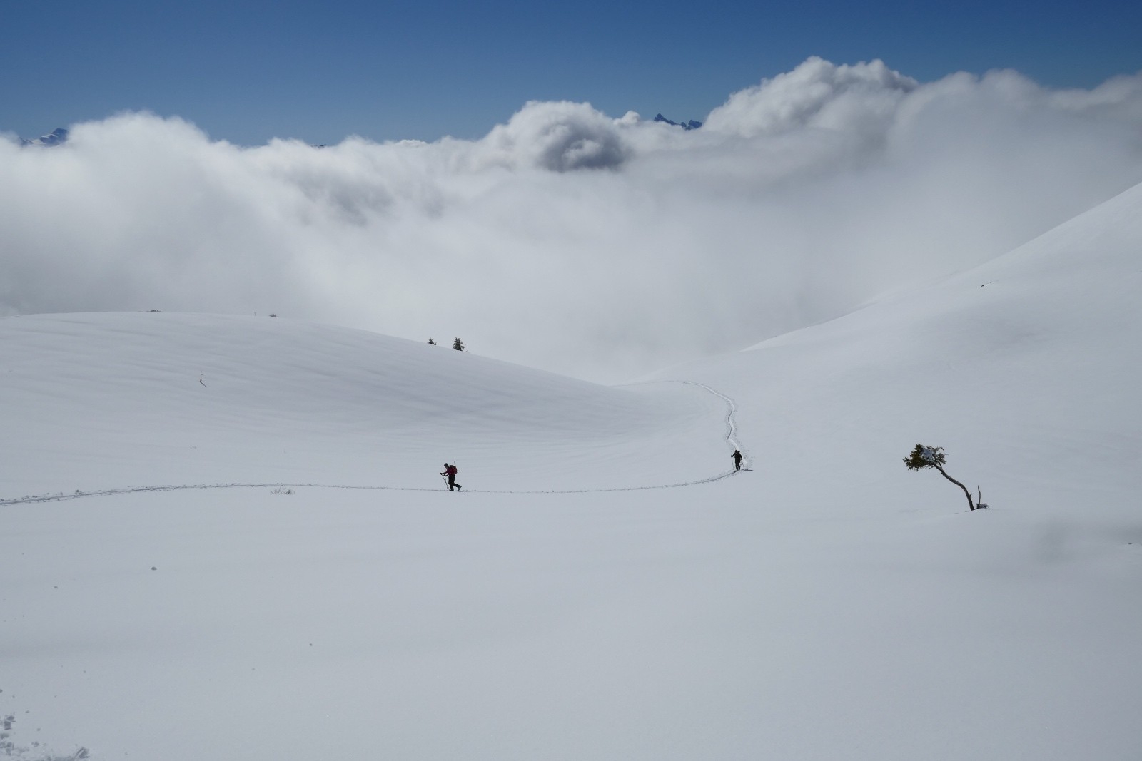 Les montagnes pointent leur nez.