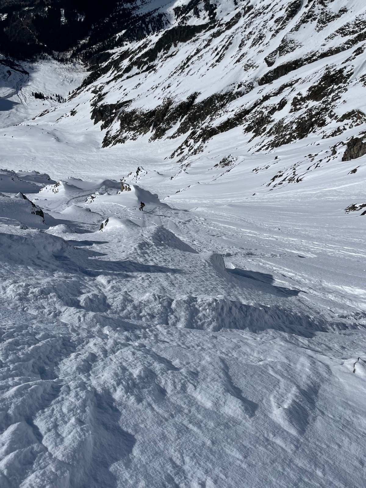 &nbsp;Le bas de la face