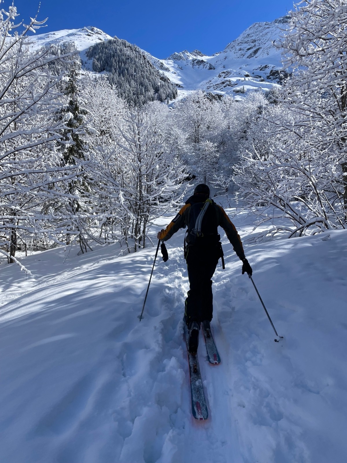 Bonne trace sur bas grâce a un groupe de chasseurs alpins, merci!&nbsp;