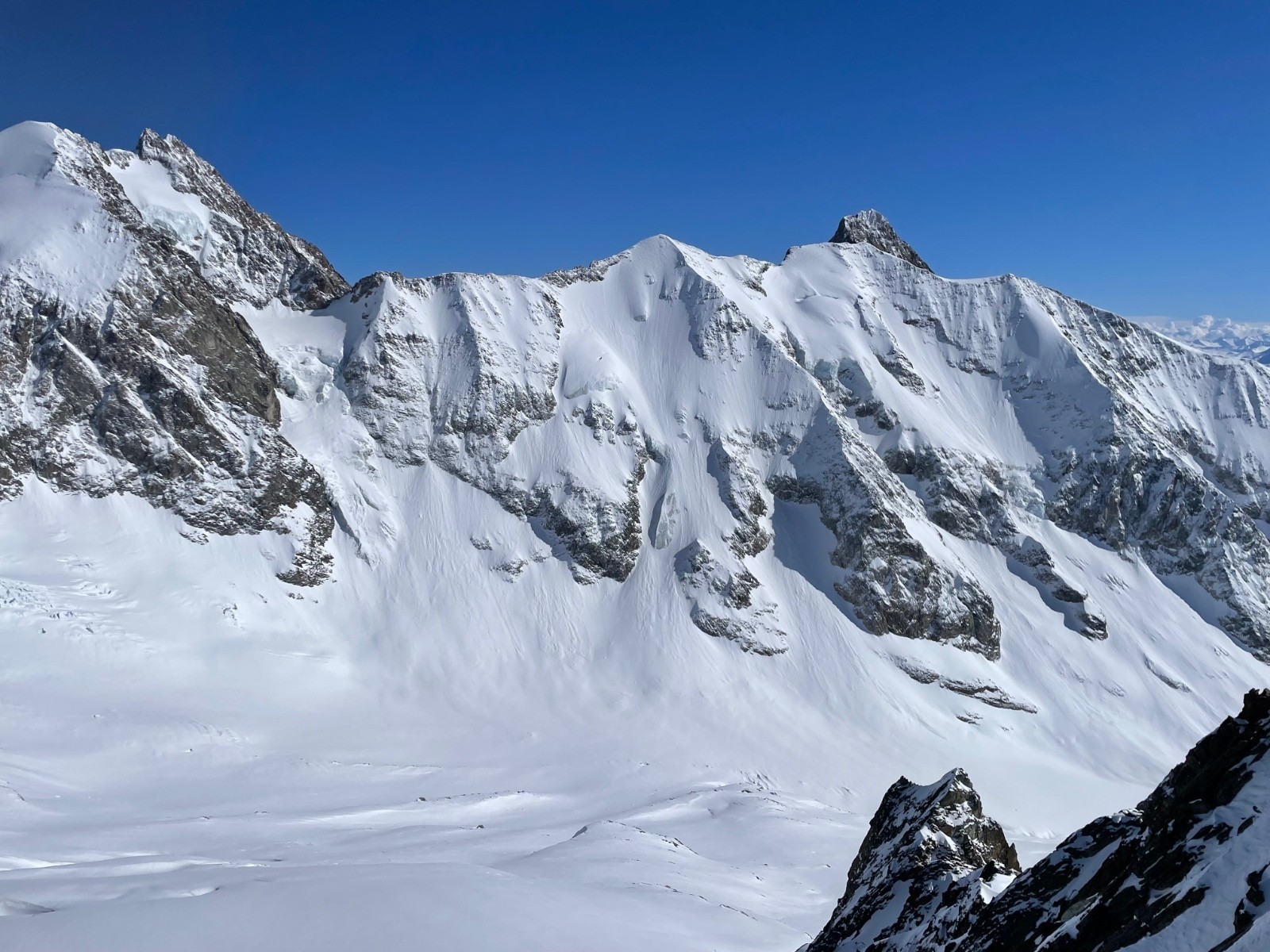 &nbsp;Léon blanche semblant en condis incroyables&nbsp;
