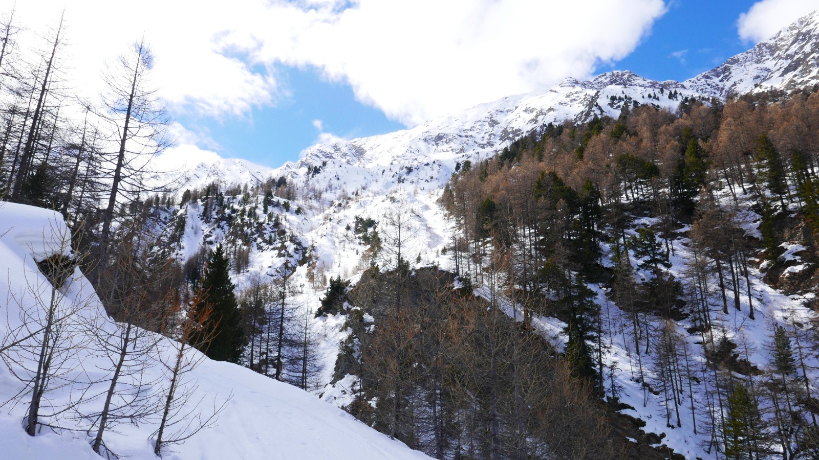 Dans le torrent de Ségure.