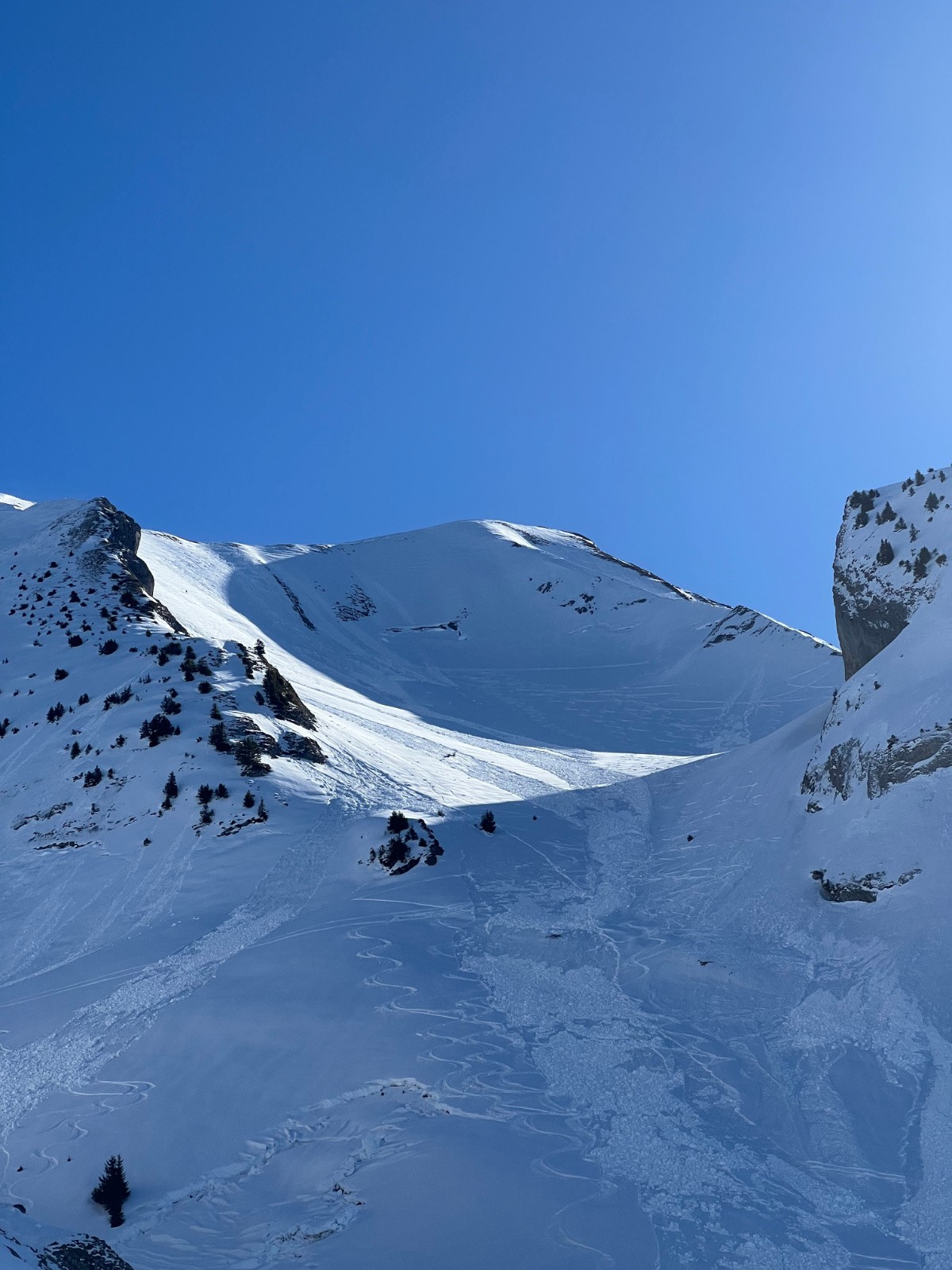 Purge + reptation&nbsp;