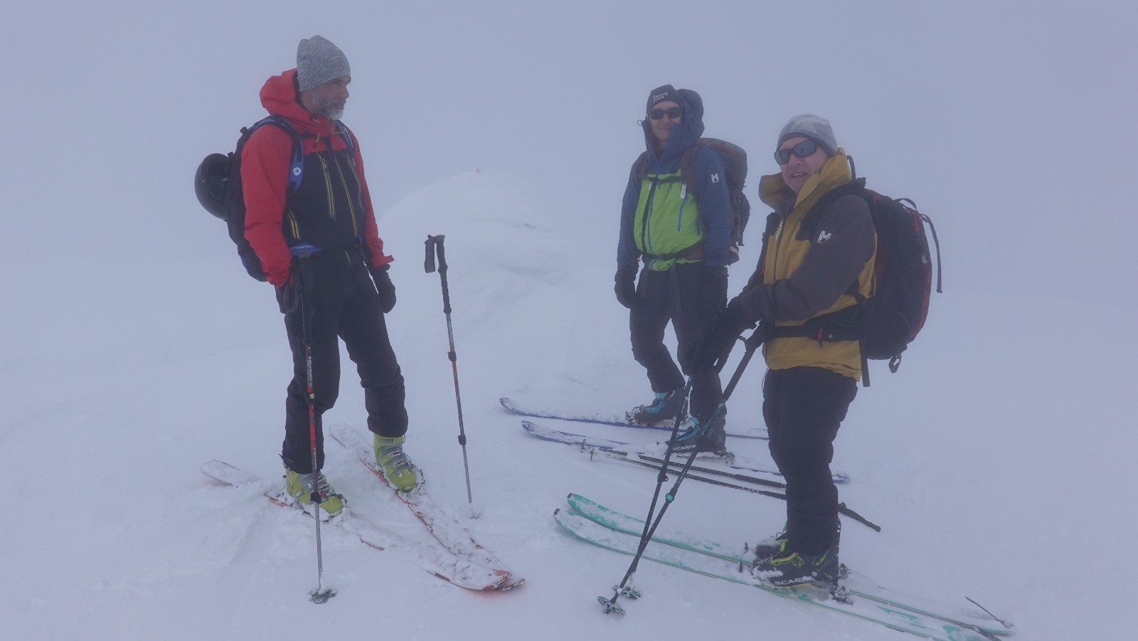 Au sommet dans la purée de pois