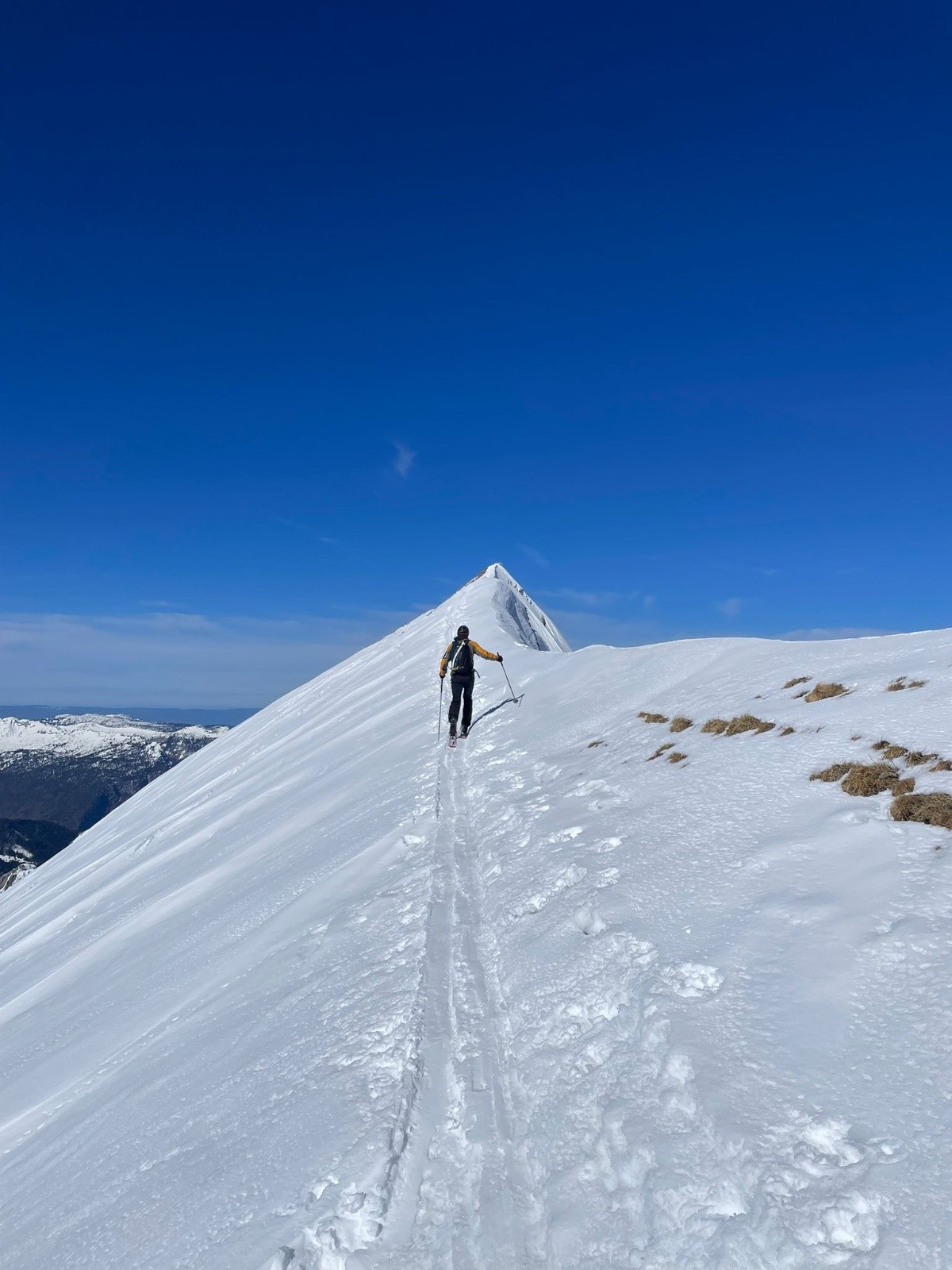&nbsp;La dernière ligne droite avant le plongeon