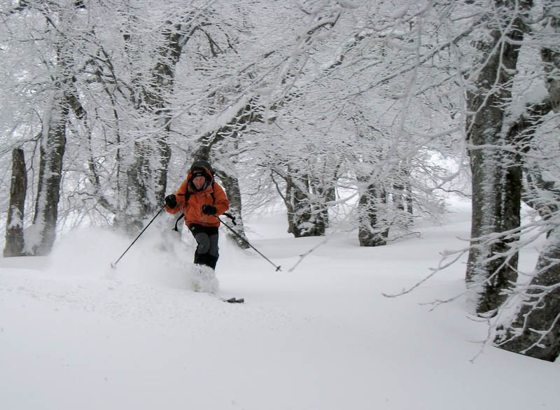 Dans la forêt magique : Patch s'éclate dans cette forêt faite pour le ski