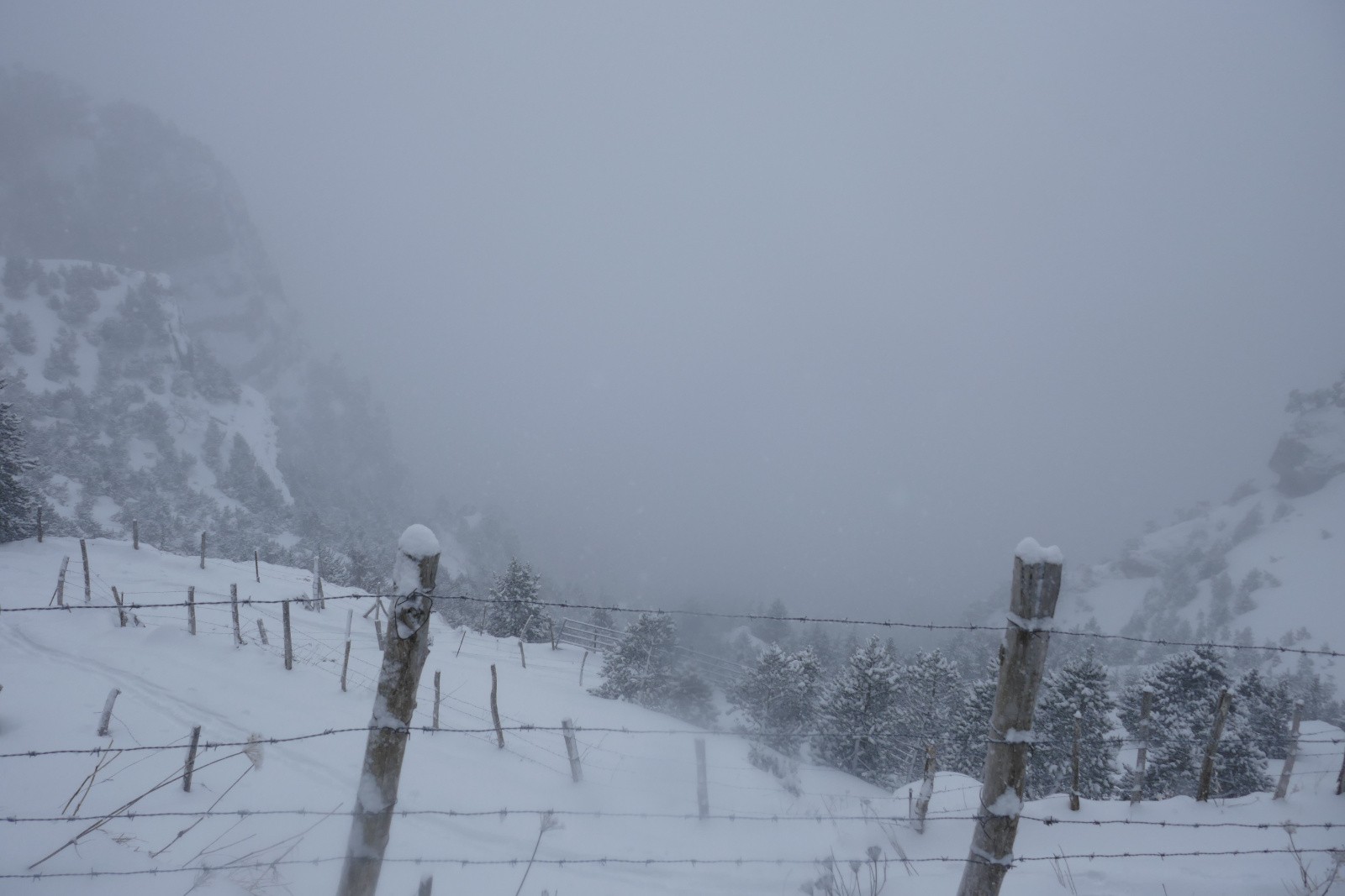 Normalement la vue est belle 