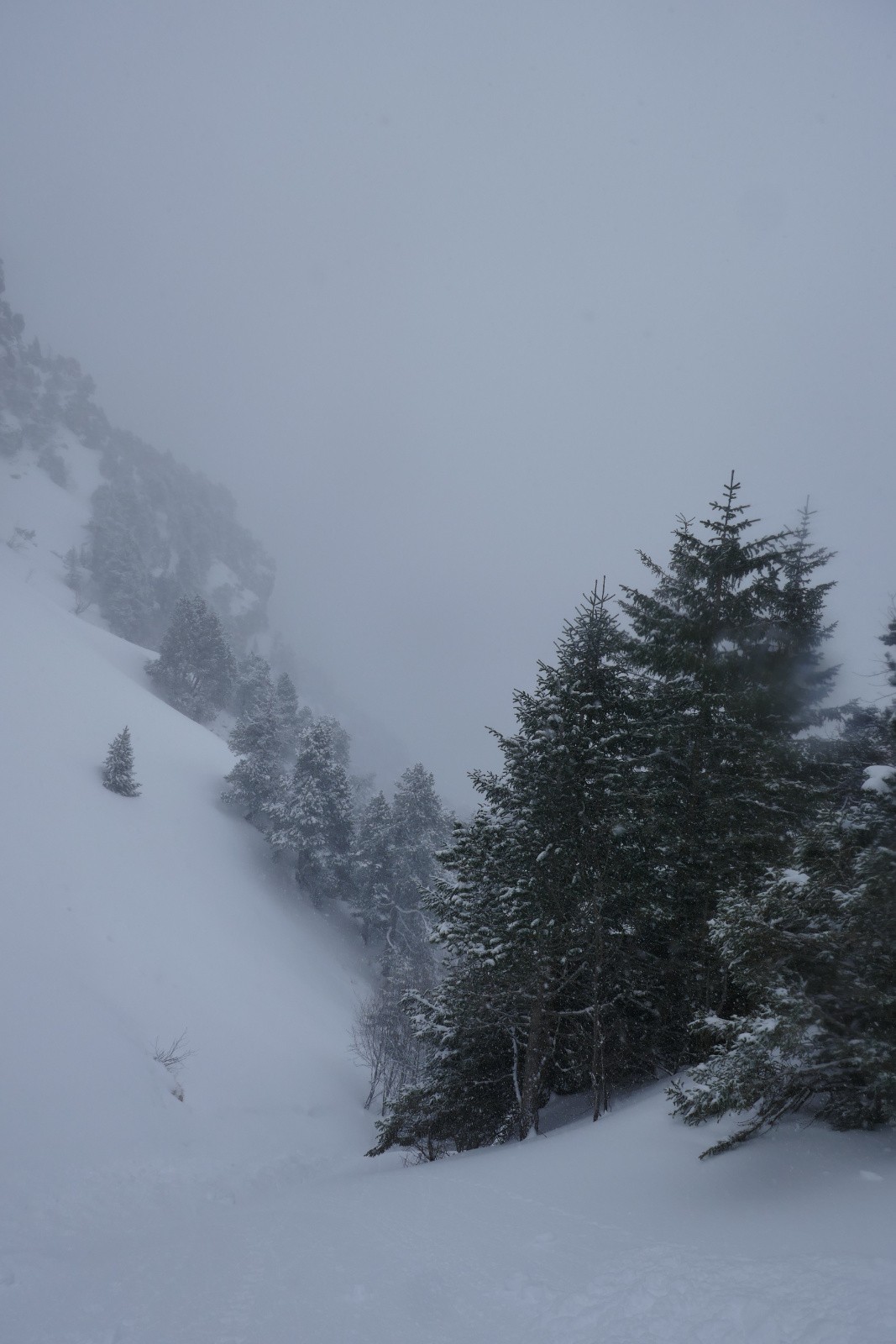 Le haut du couloir, ça semblait bien 