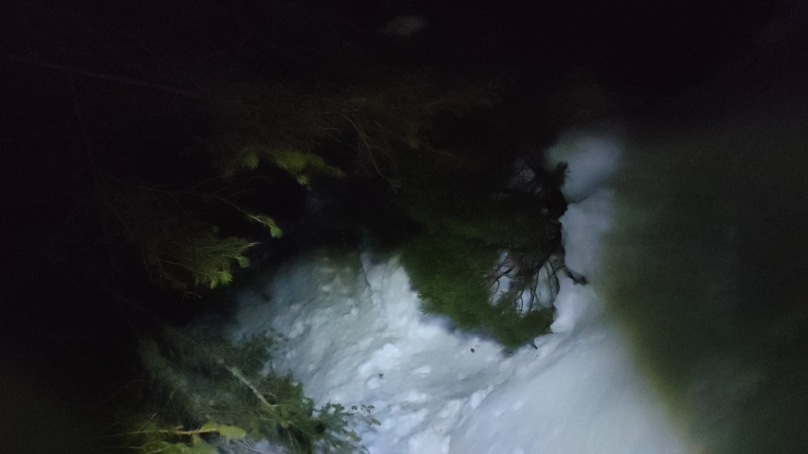 Je suis perdu dans la forêt ;(Je veux rentrer chez moi ..&nbsp;