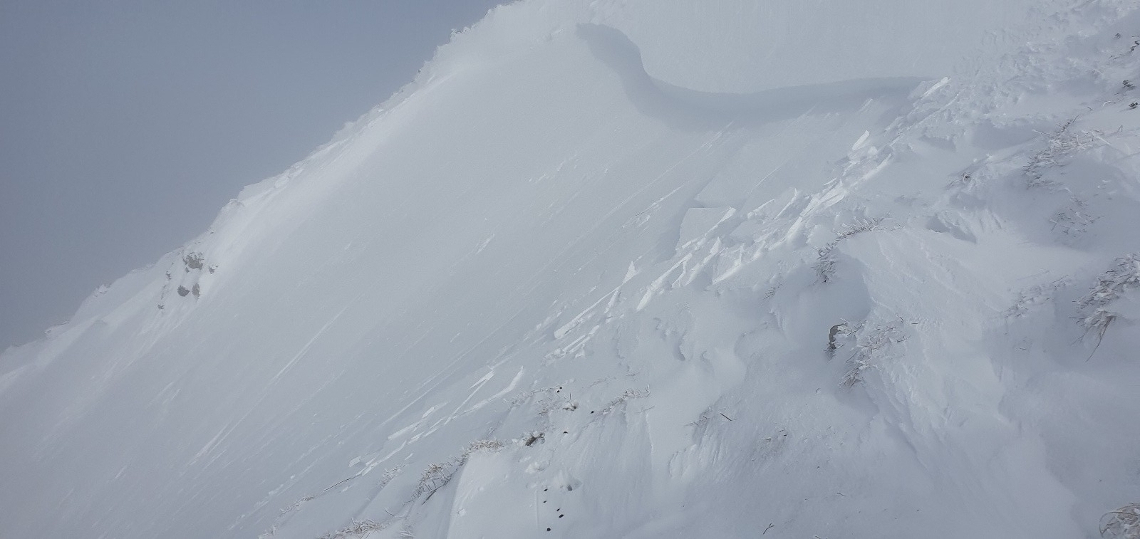 la cassure déclenchée par les bouqetins