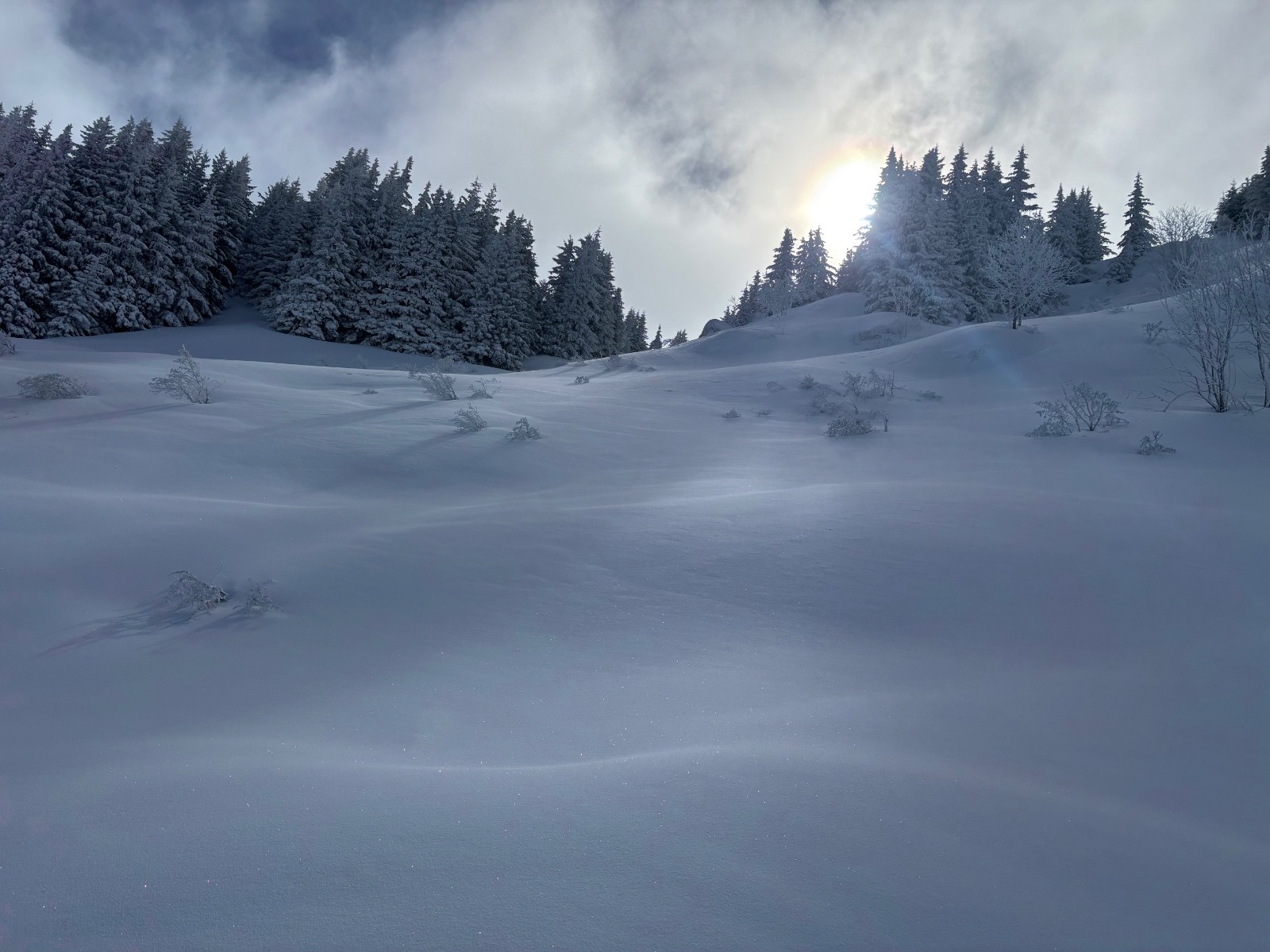 #3 Tentant, non ? Tentant, non ?