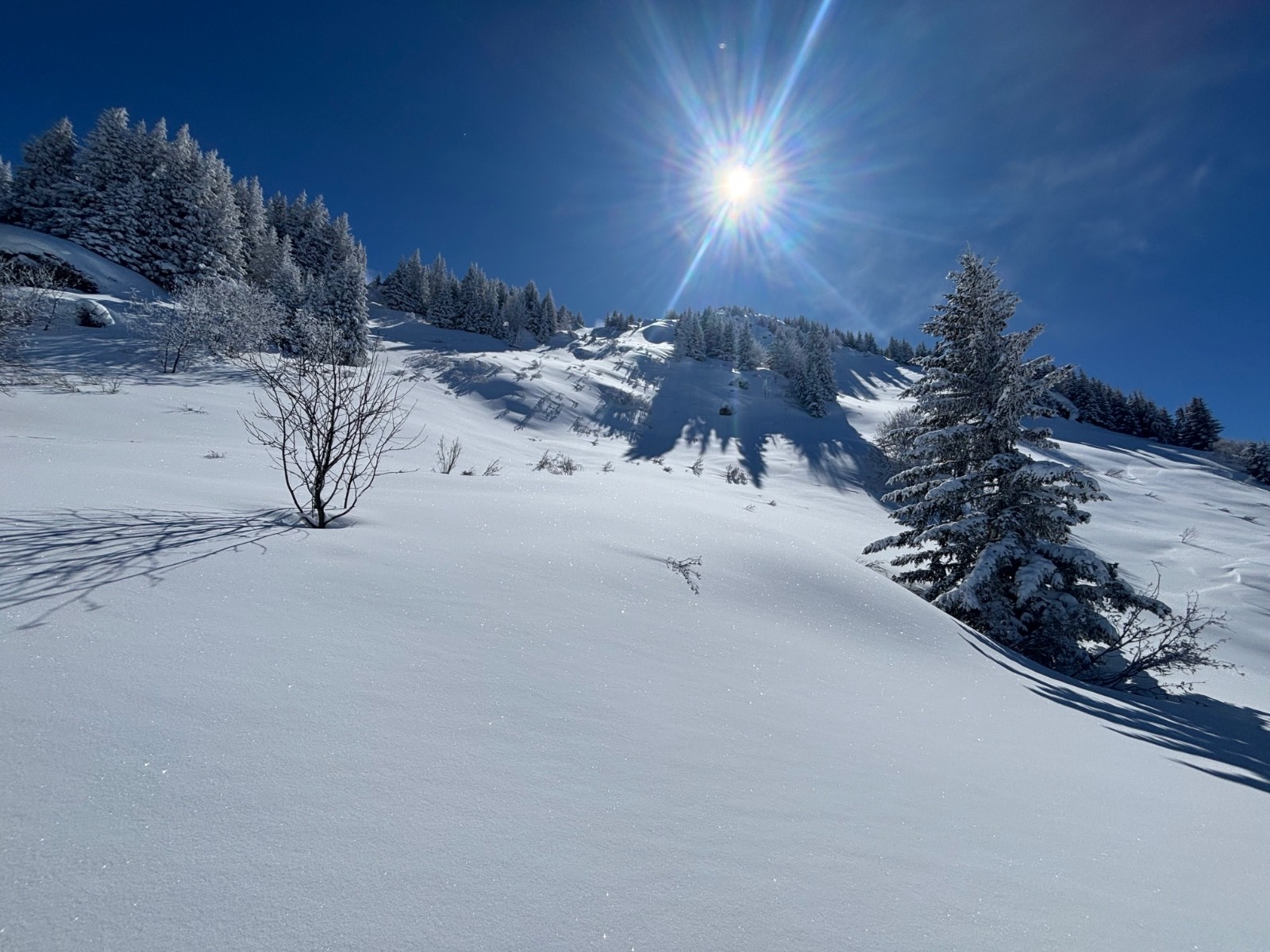 #7 Sunny Sunday in a magic world ⭐️ Sunny Sunday in a magic world ⭐️