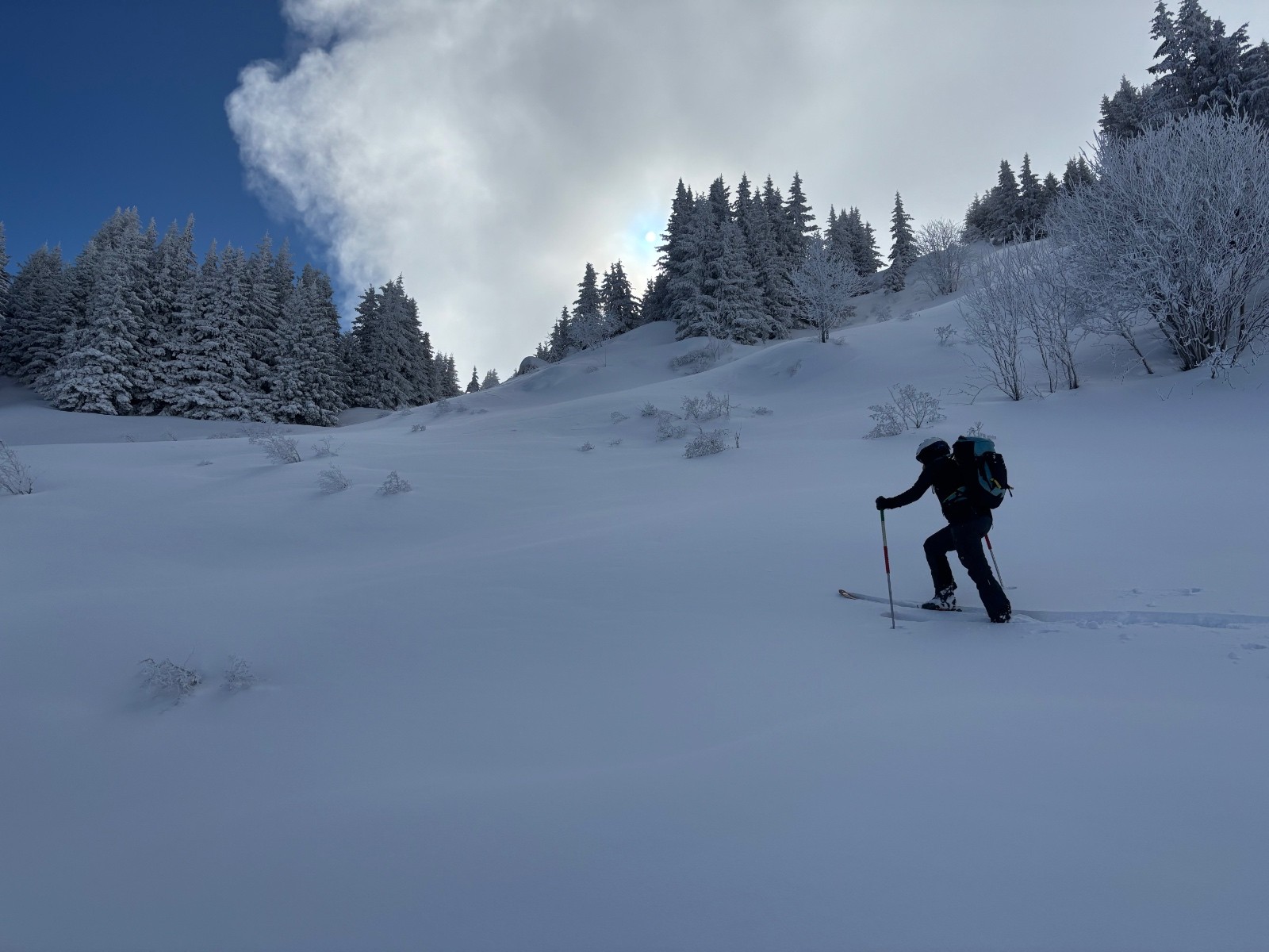#4 Ben là, si 😊 Ben là, si 😊