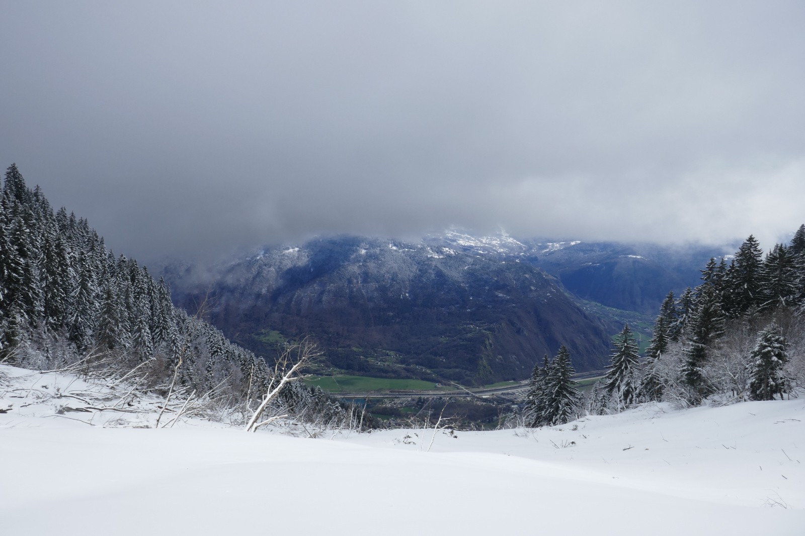 Elle est passait où la forêt ?&nbsp; 