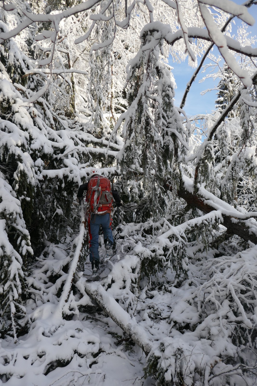 On nous avait pourtant prévenu !&nbsp; 