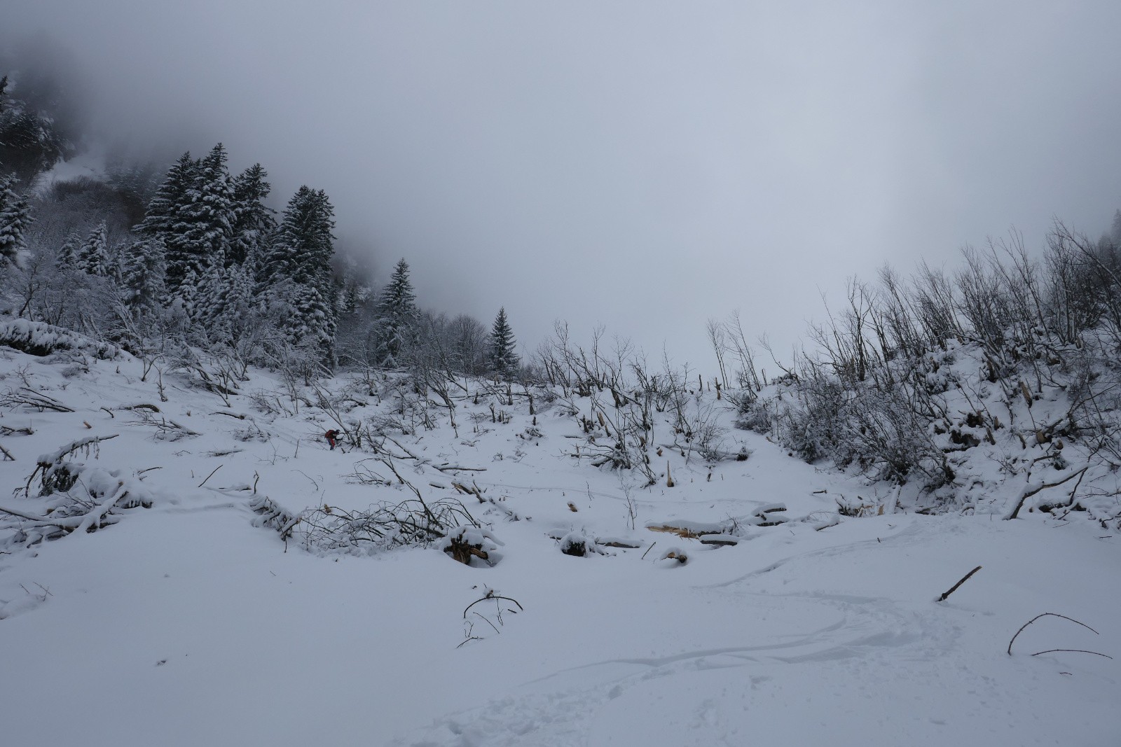 C'est le bordel ici&nbsp; 