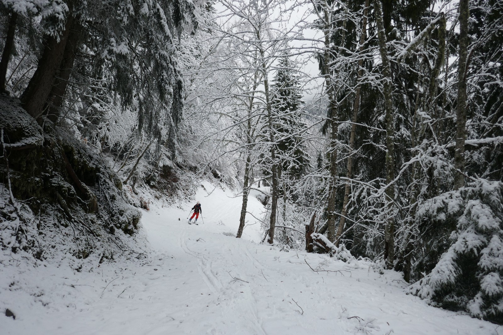 Retour sur la piste&nbsp; 