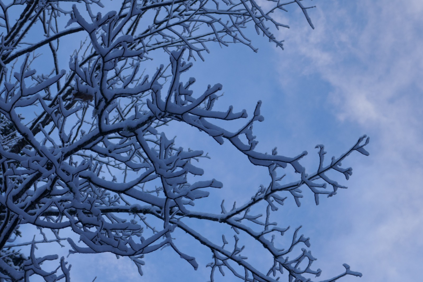 Effet éphémère&nbsp; 