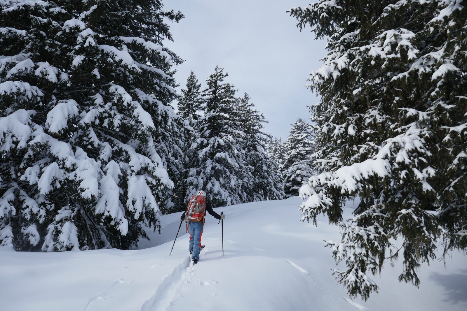 Vers Arpingon, ça commence à devenir épais 