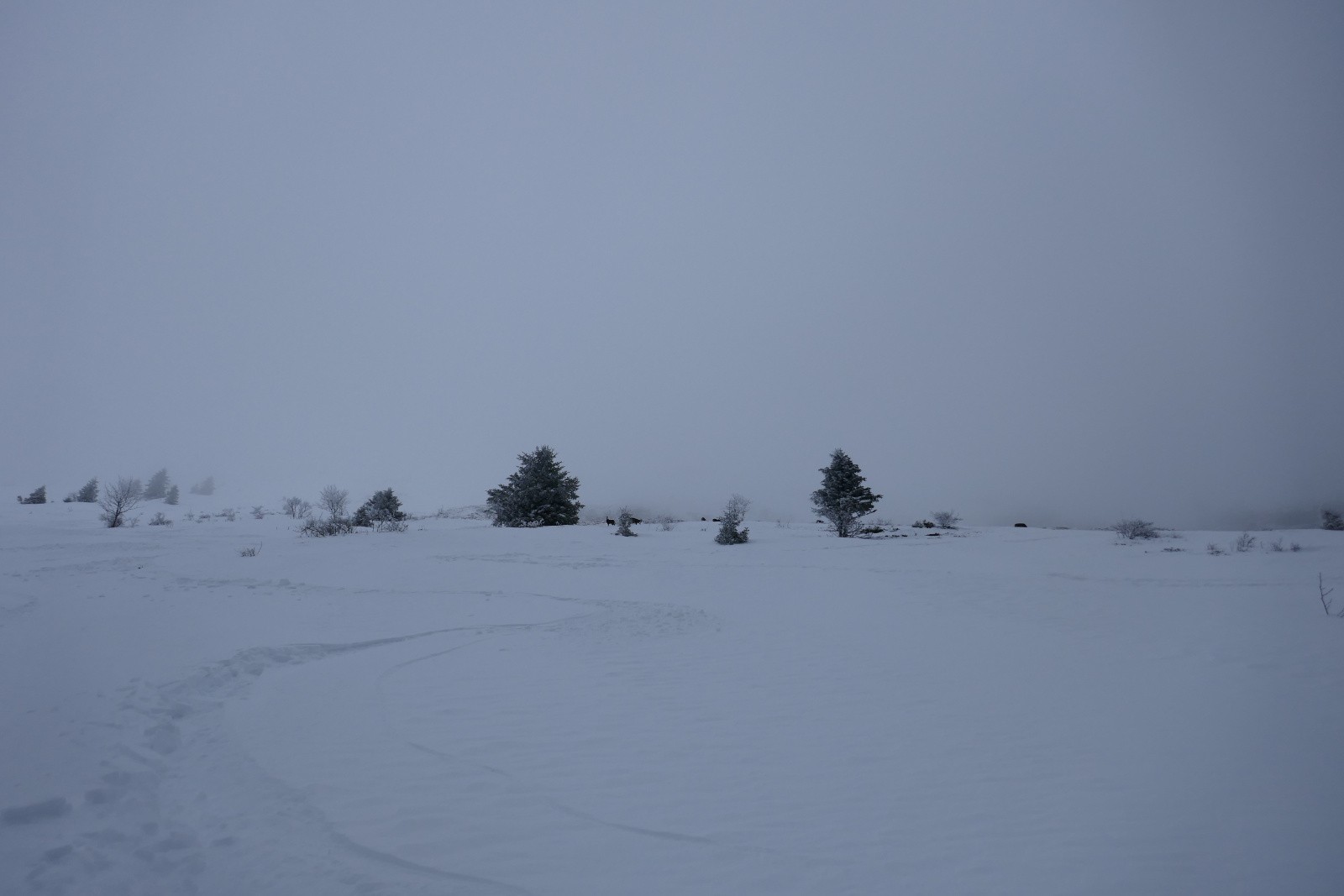 C'est tout bon !&nbsp; 